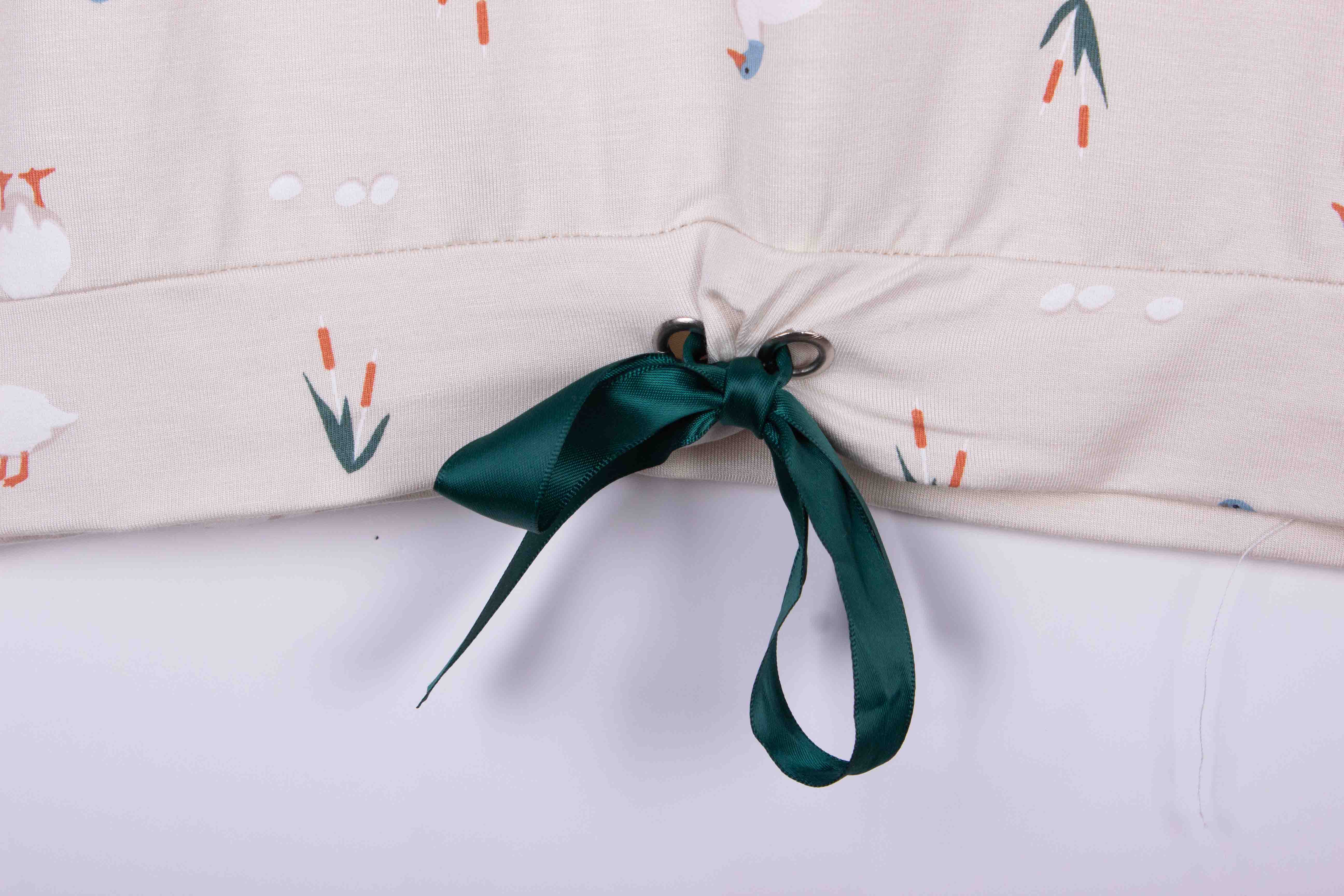 Cute Ducks with Stylish Ribbon