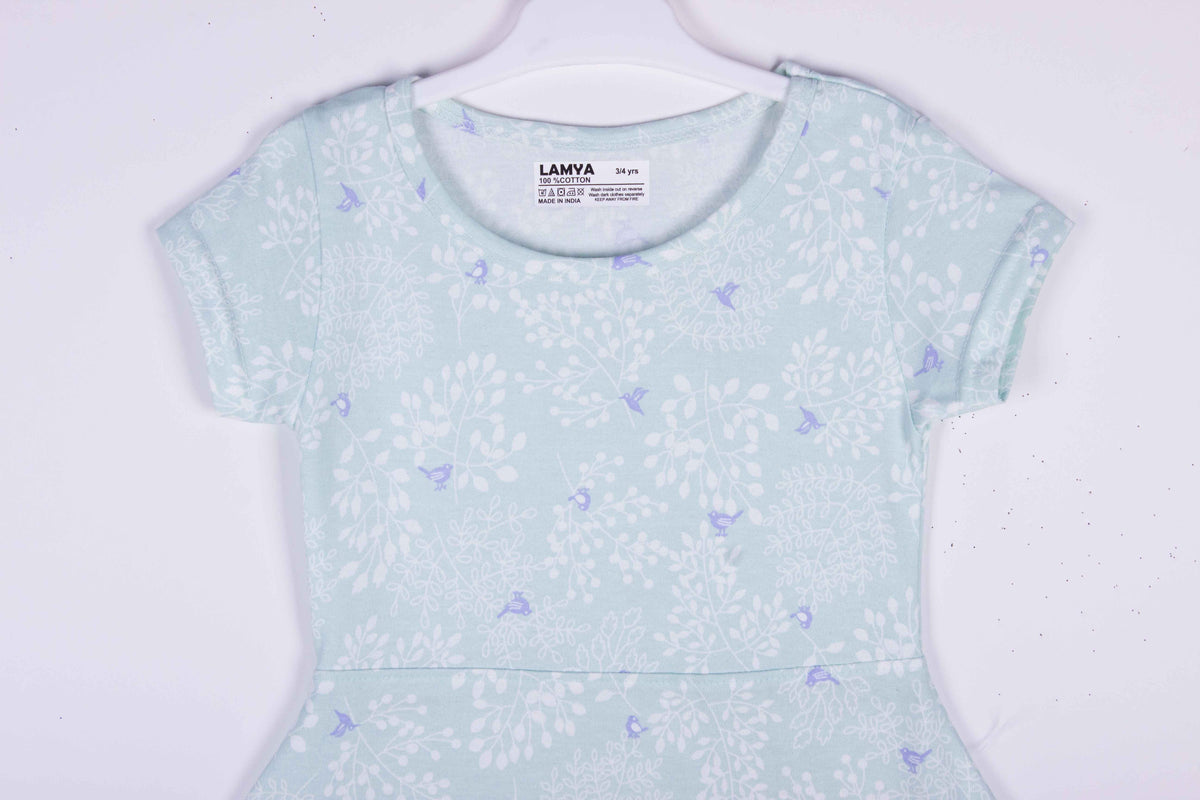 Sky Blue Floral Dress
