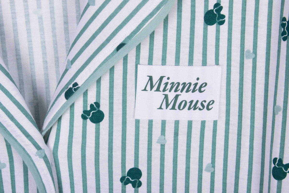 Classy Mint Minnie Mouse Stripes
