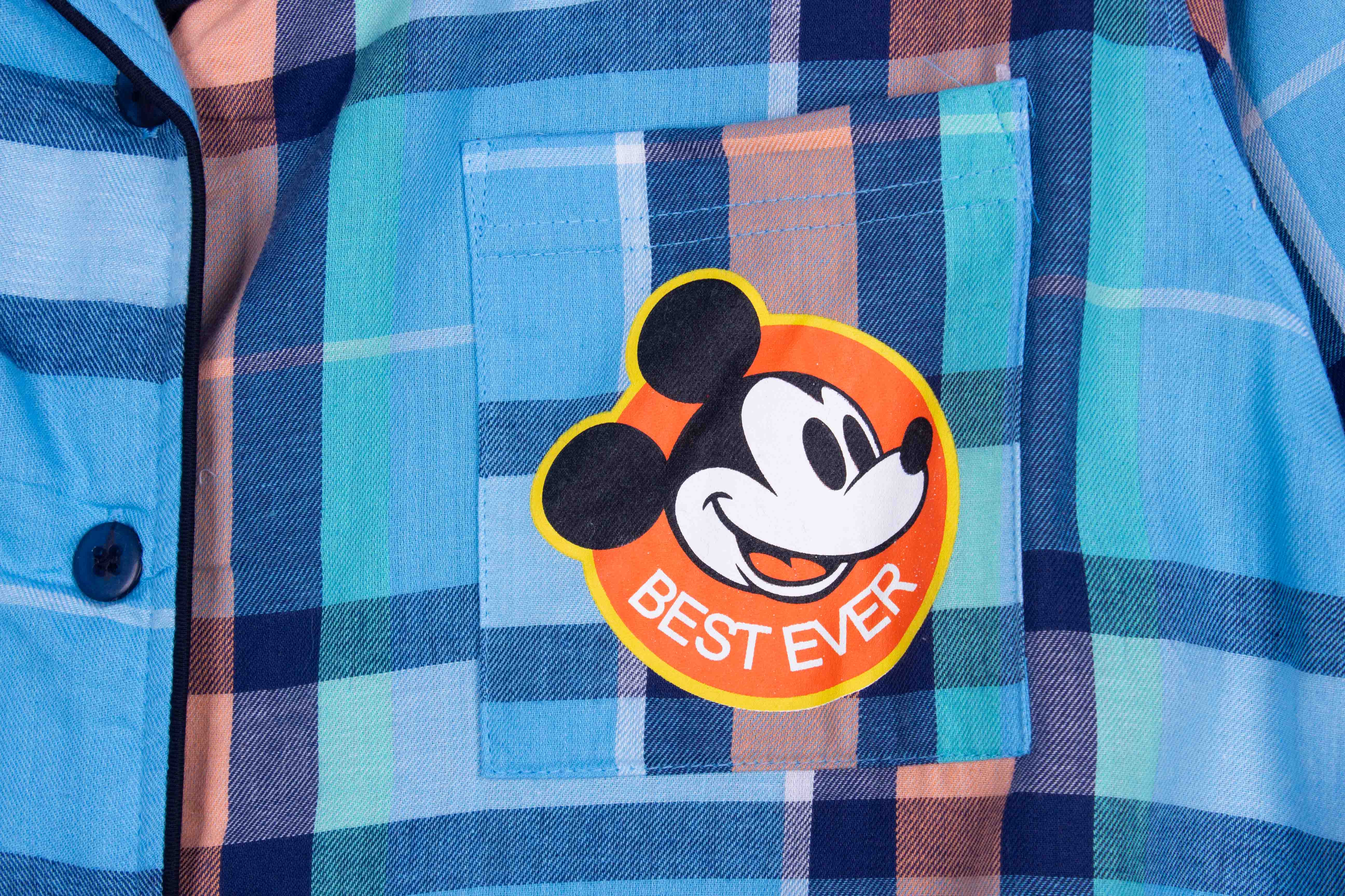 Best Ever Mickey Checks