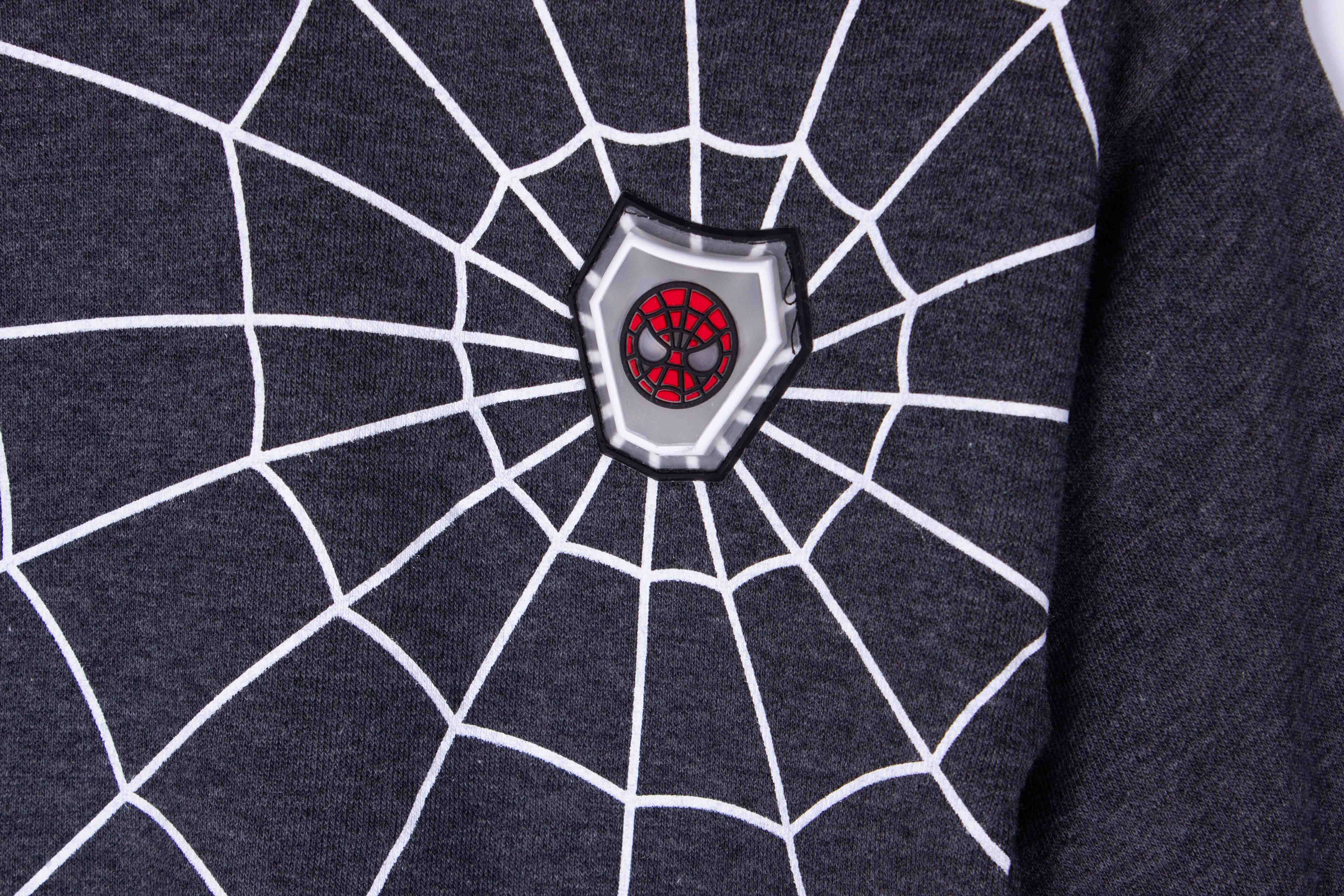 One and Only Spiderman