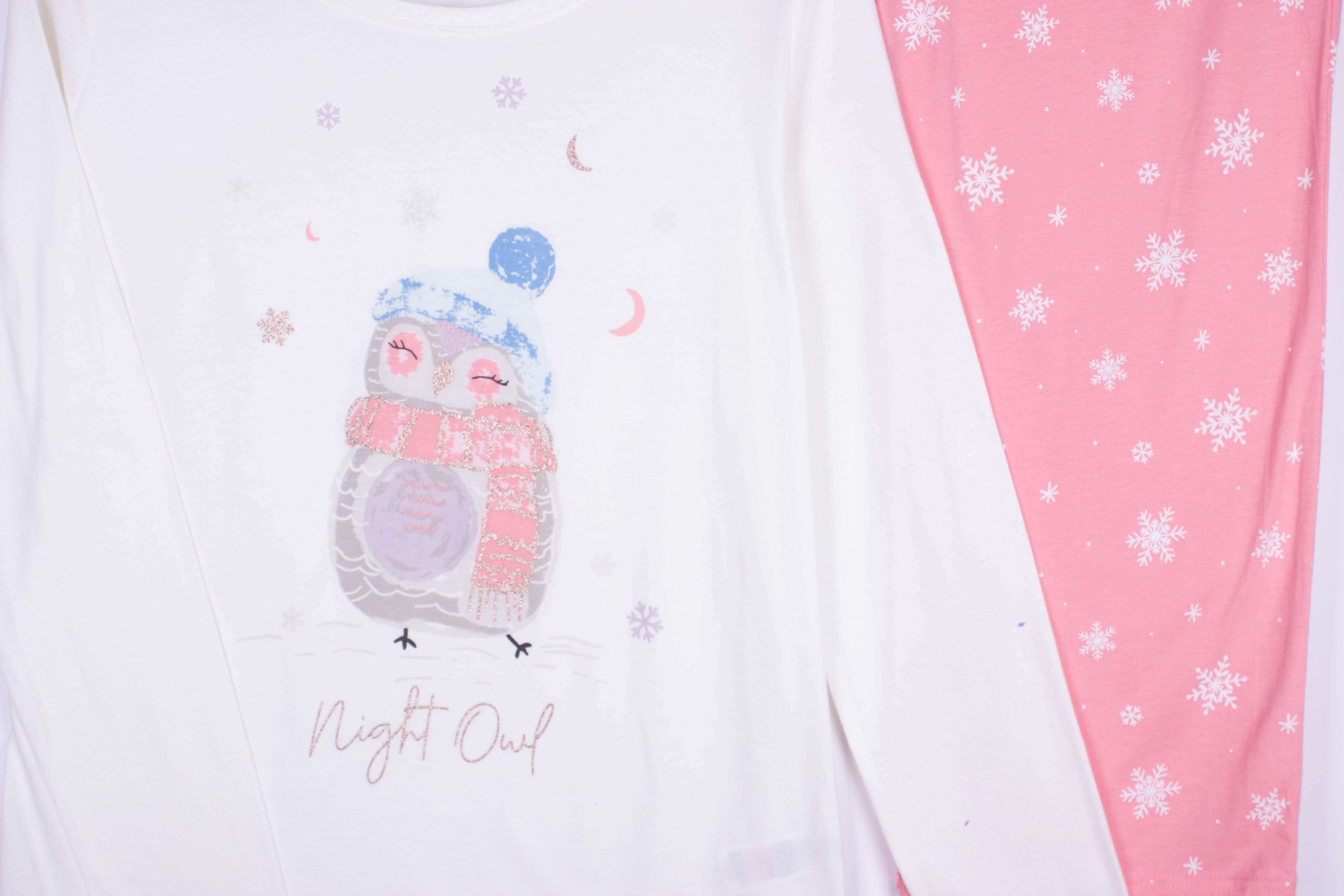 Winter Owl