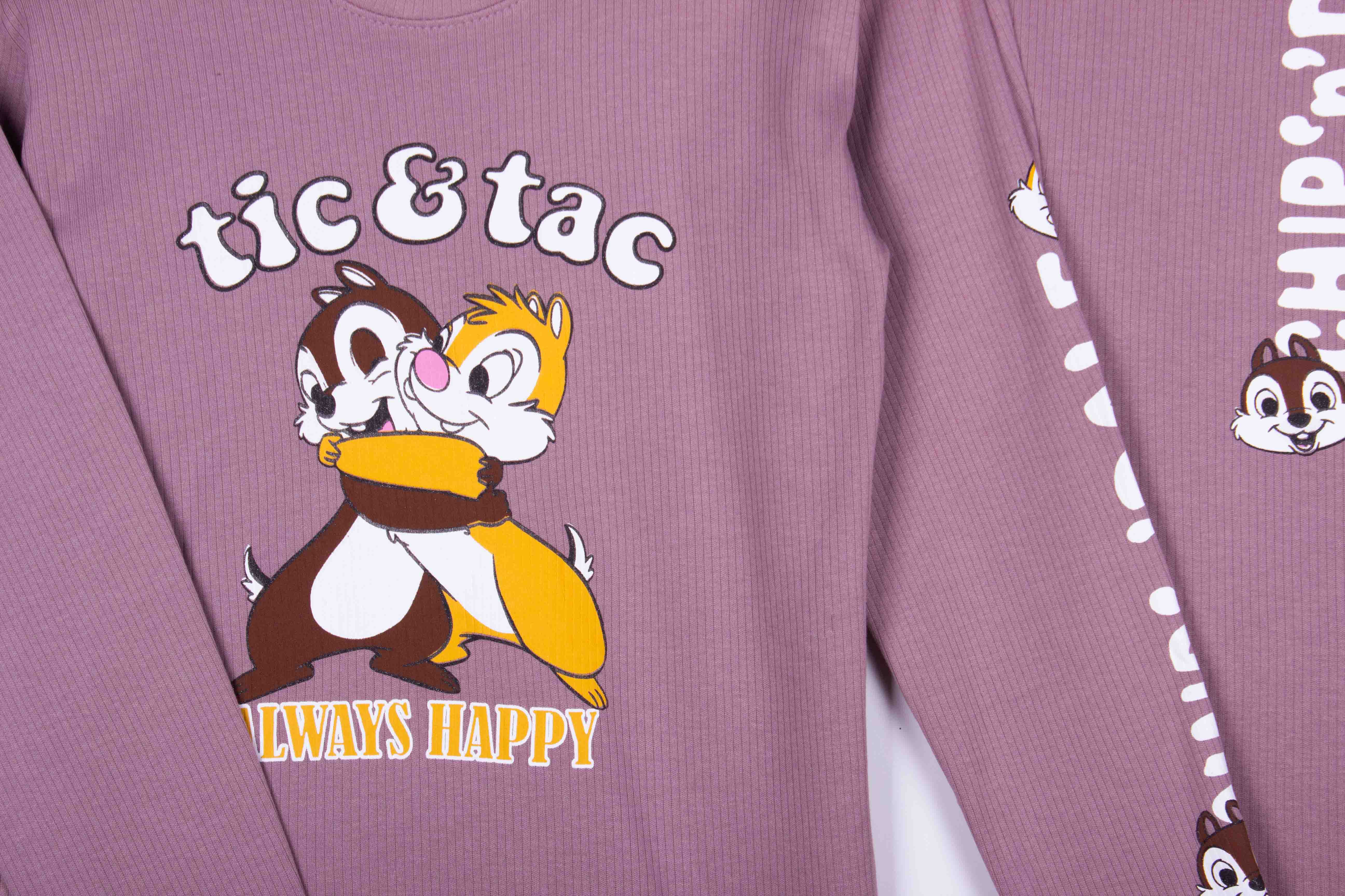 Chipmunks Always Happy