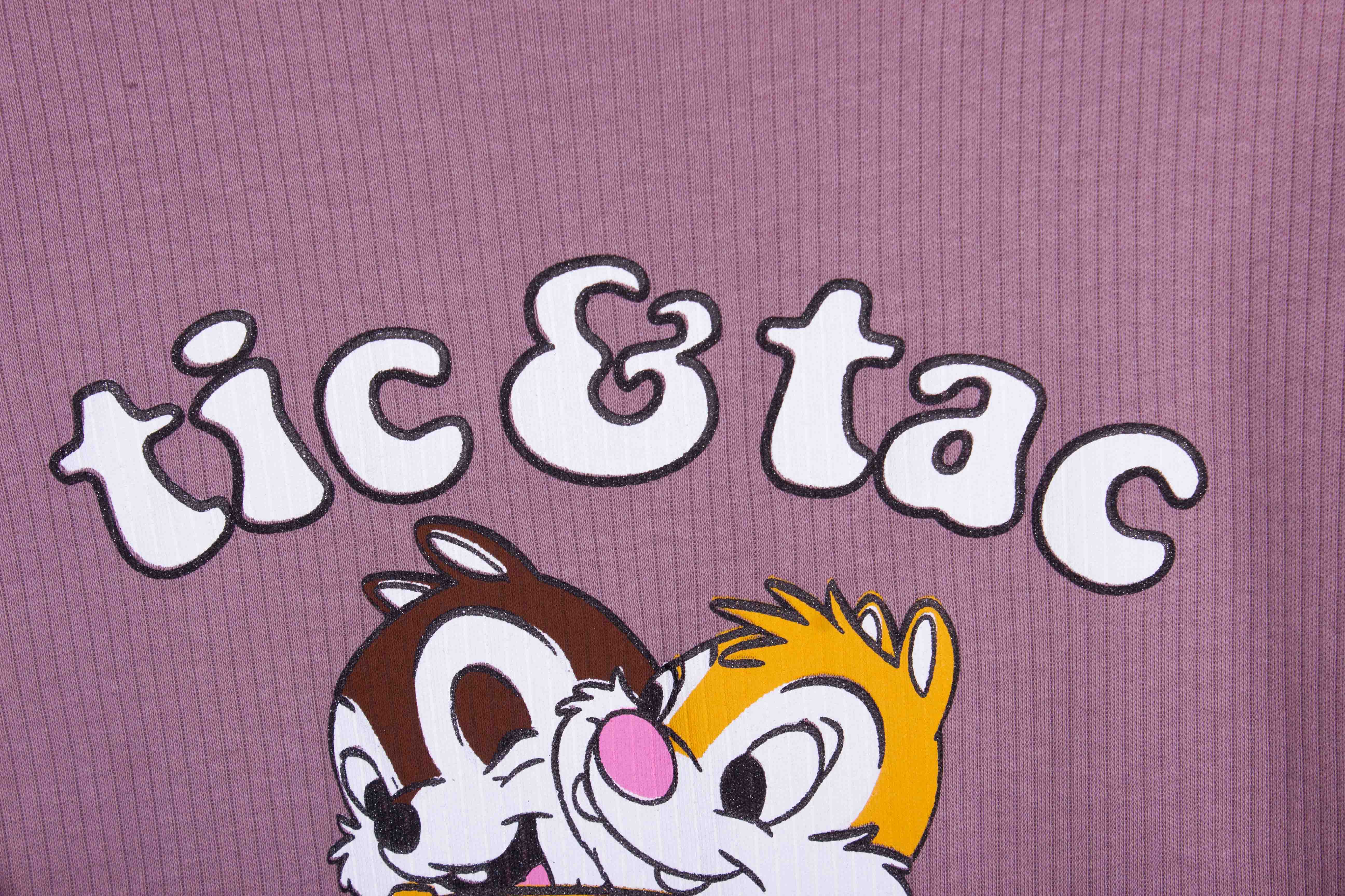 Chipmunks Always Happy