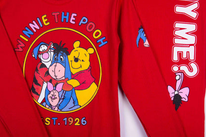 Winnie the Pooh Friends