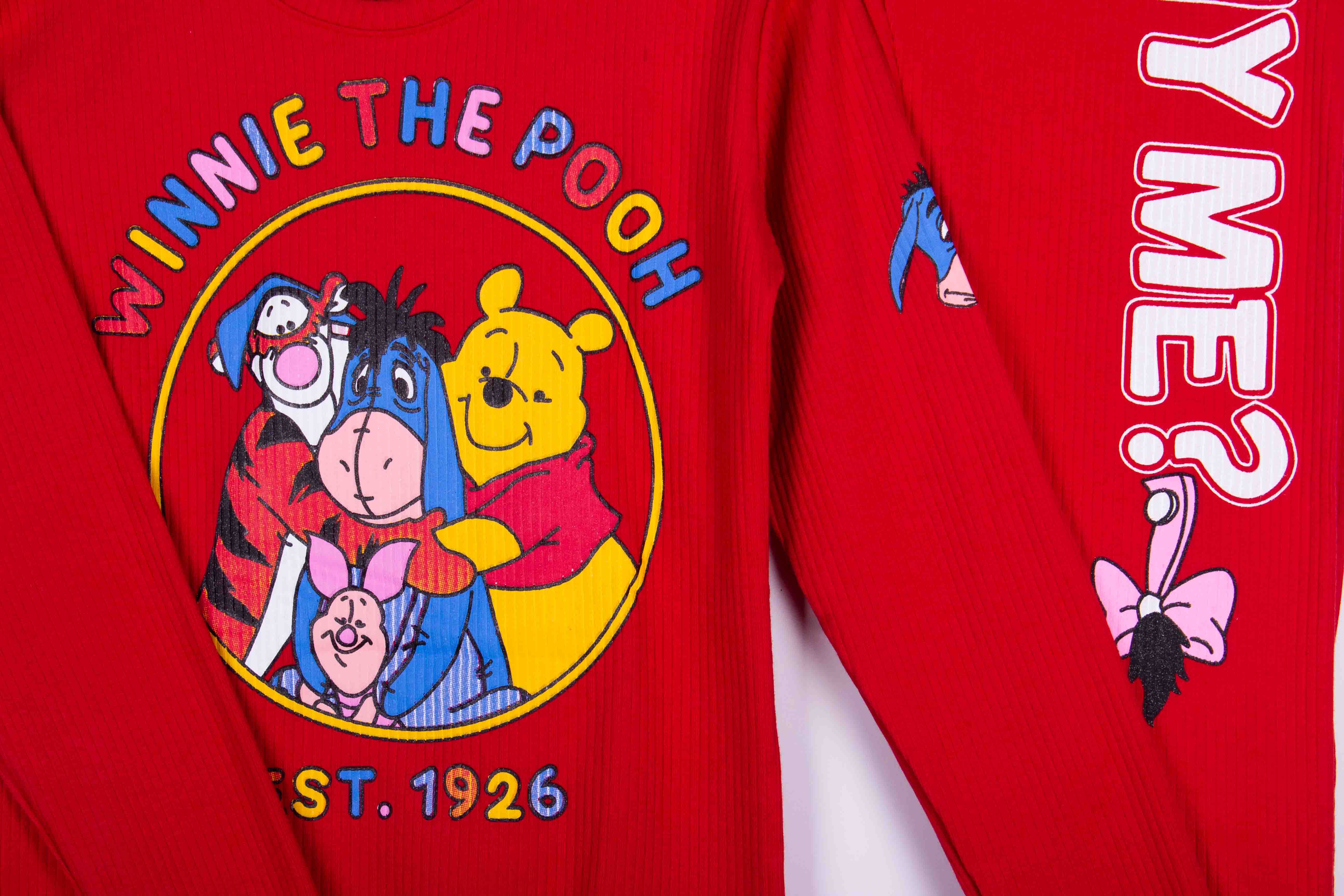 Winnie the Pooh Friends