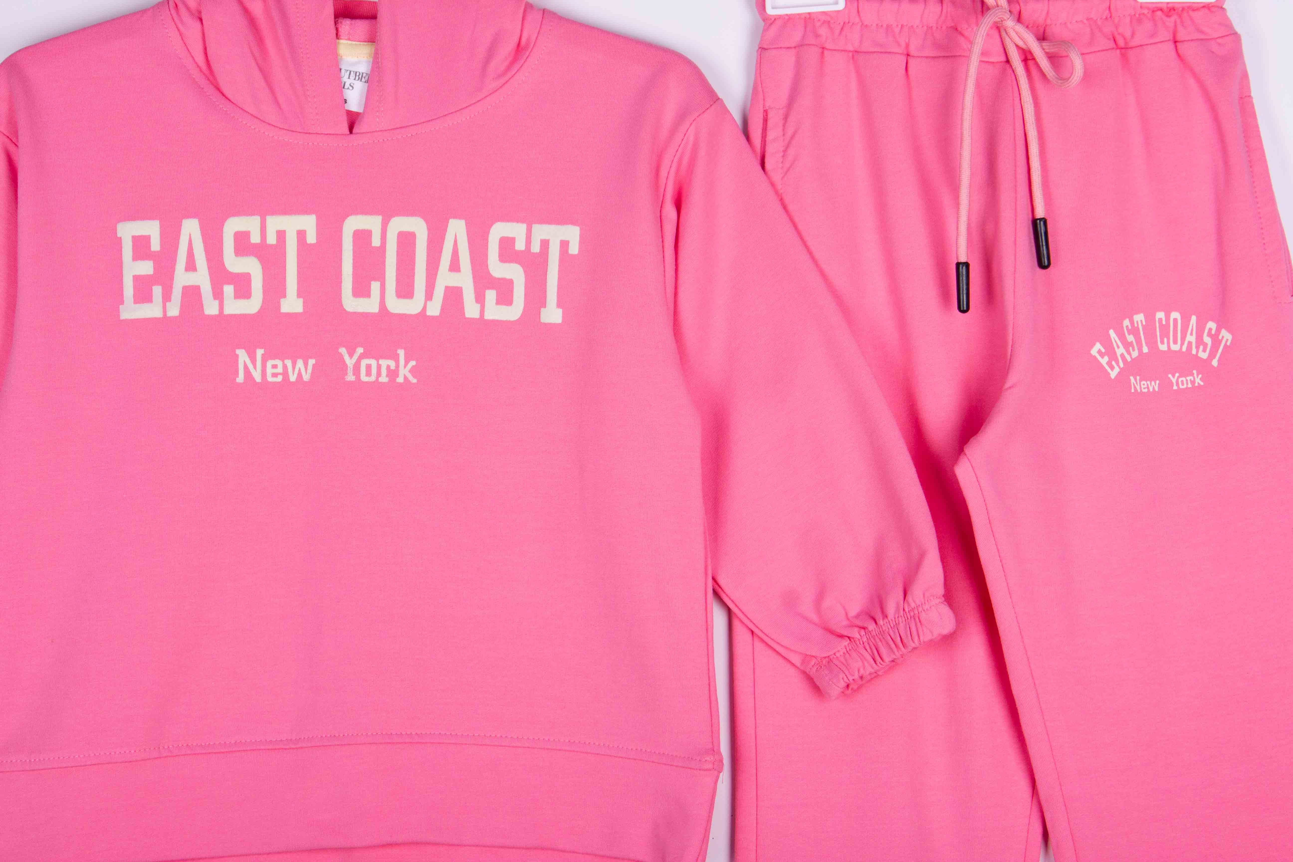 East Coast New York Pink Hoodie