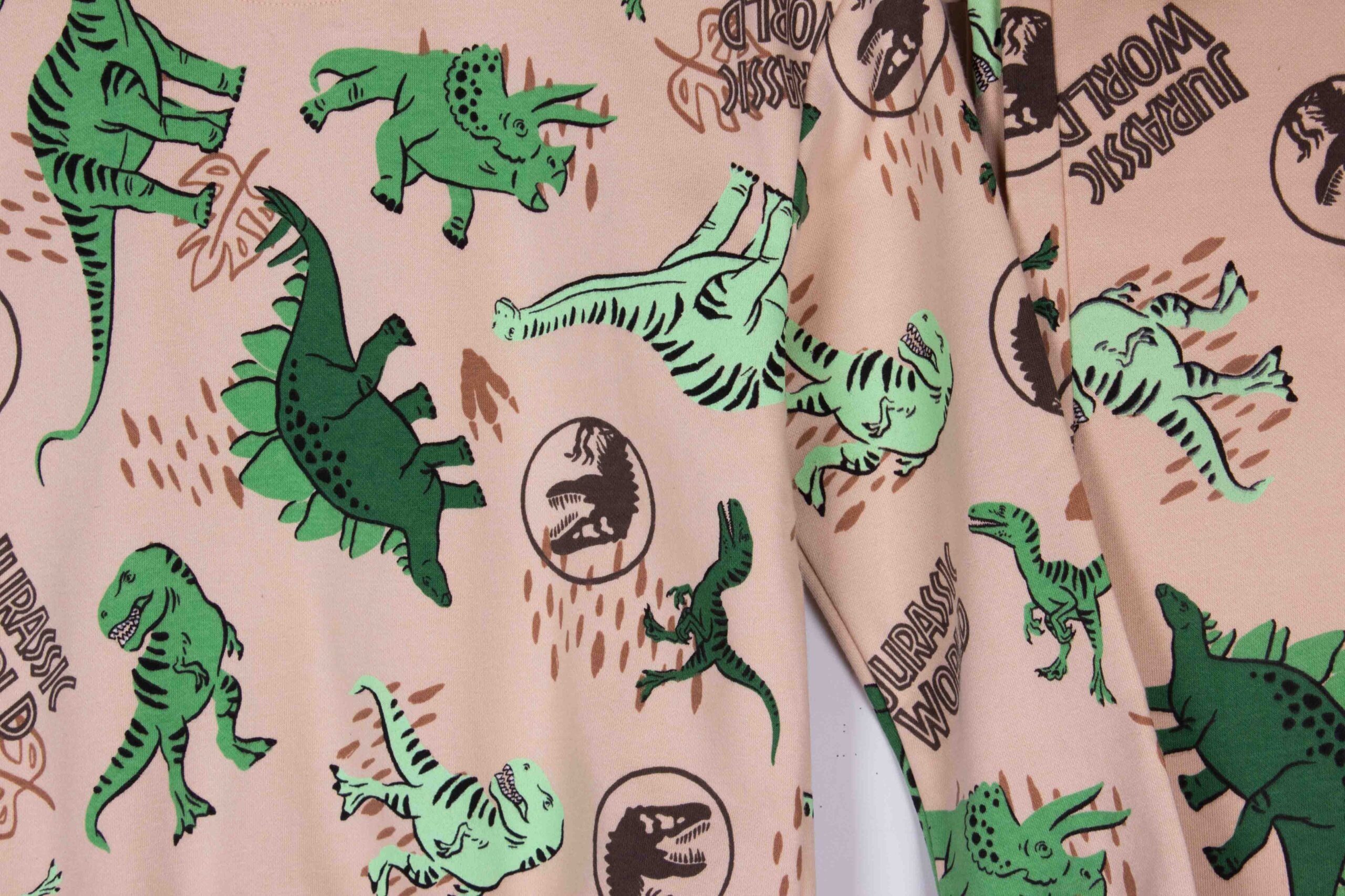 Jurassic Dino