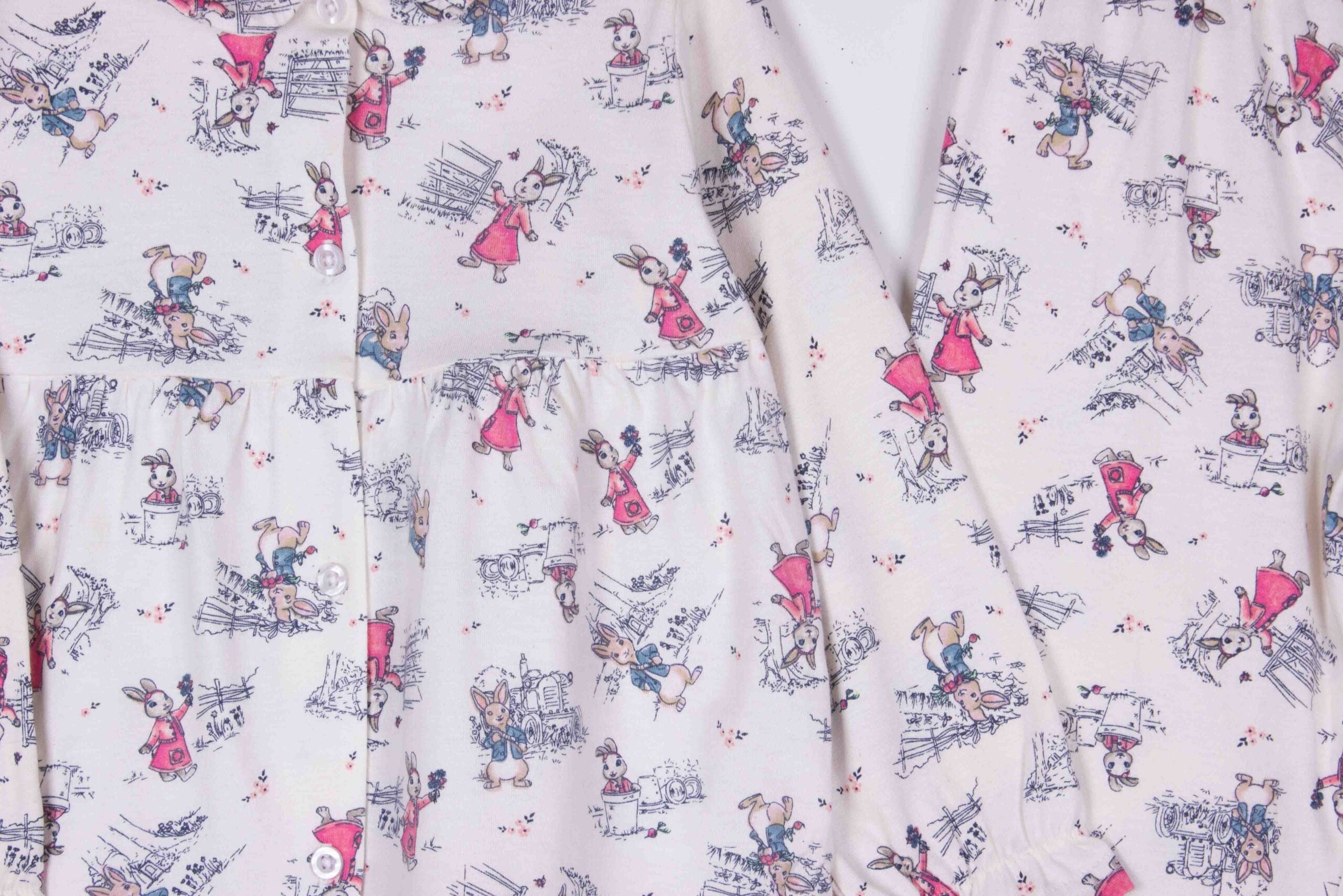 Peter Rabbit
