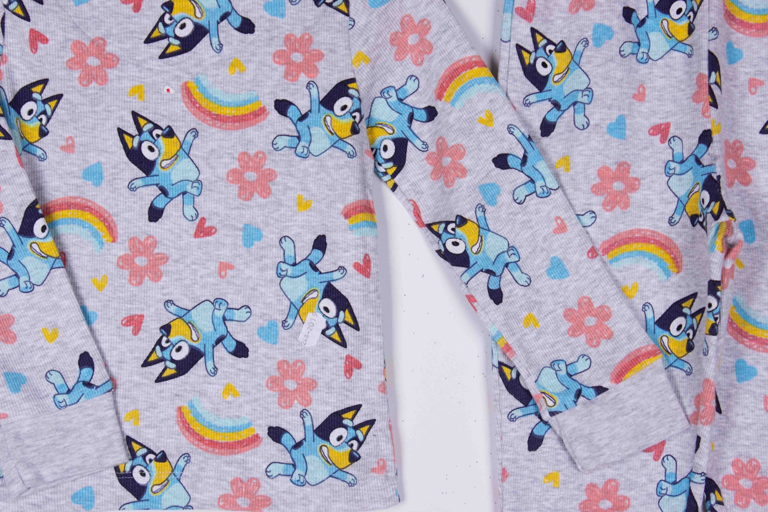 Rainbow Bluey
