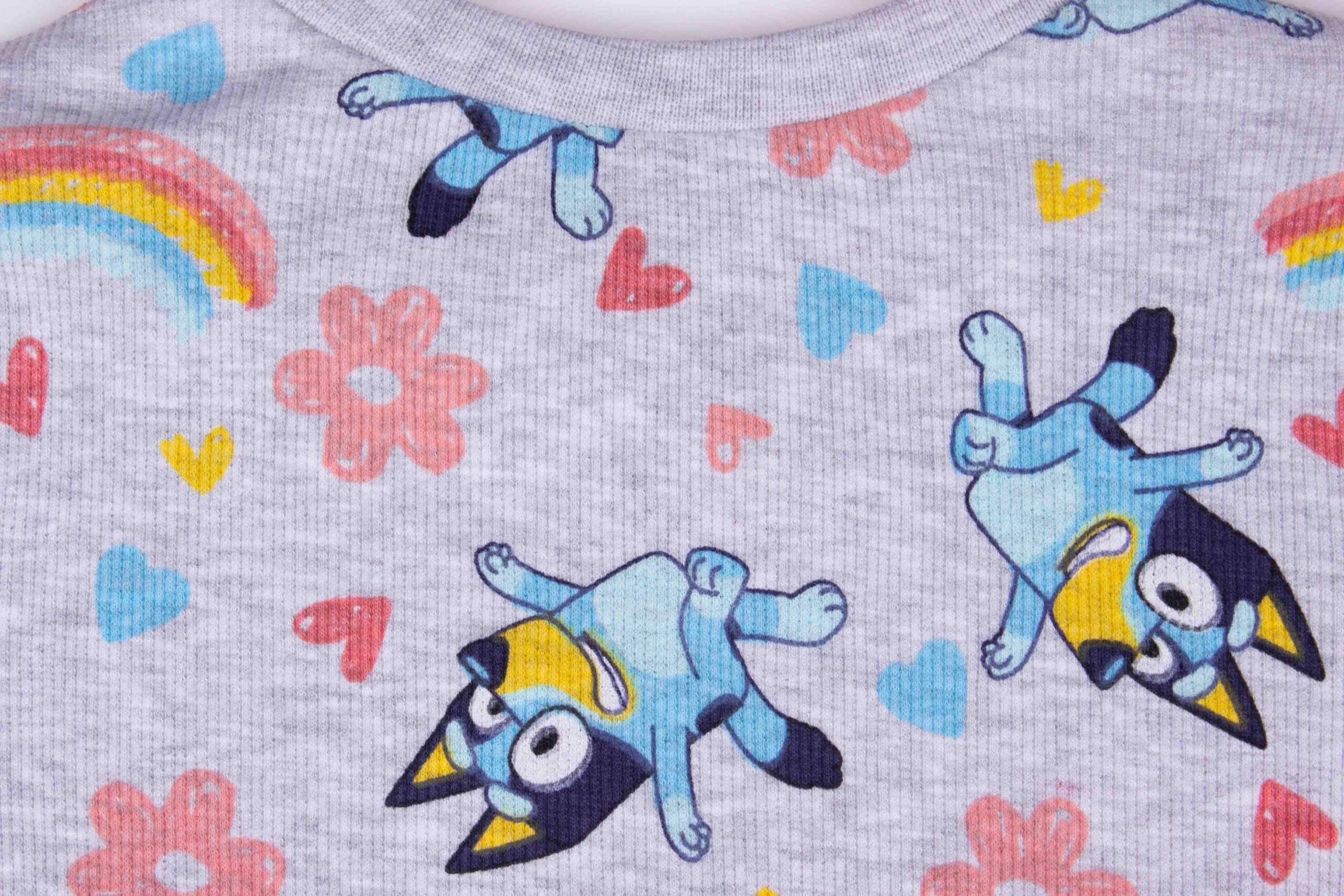 Rainbow Bluey