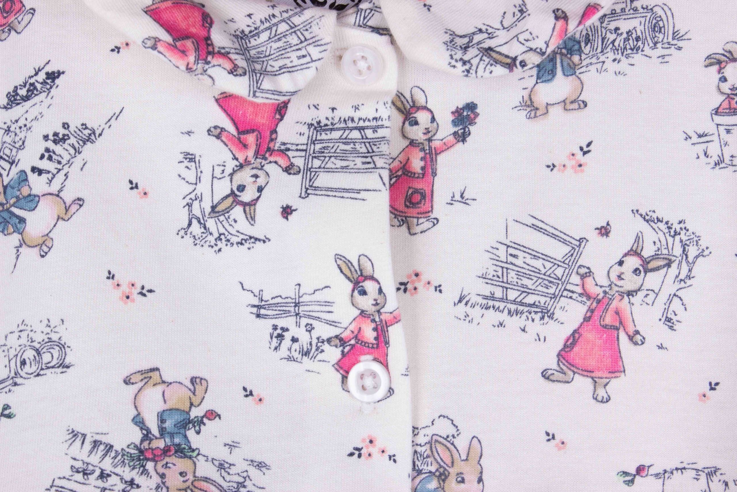Peter Rabbit