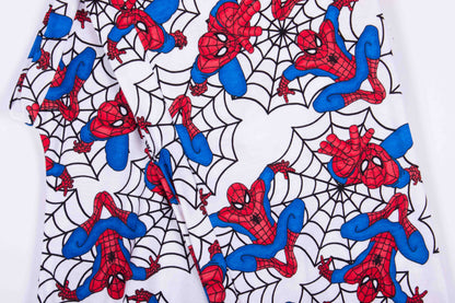 Spider-Man Webs