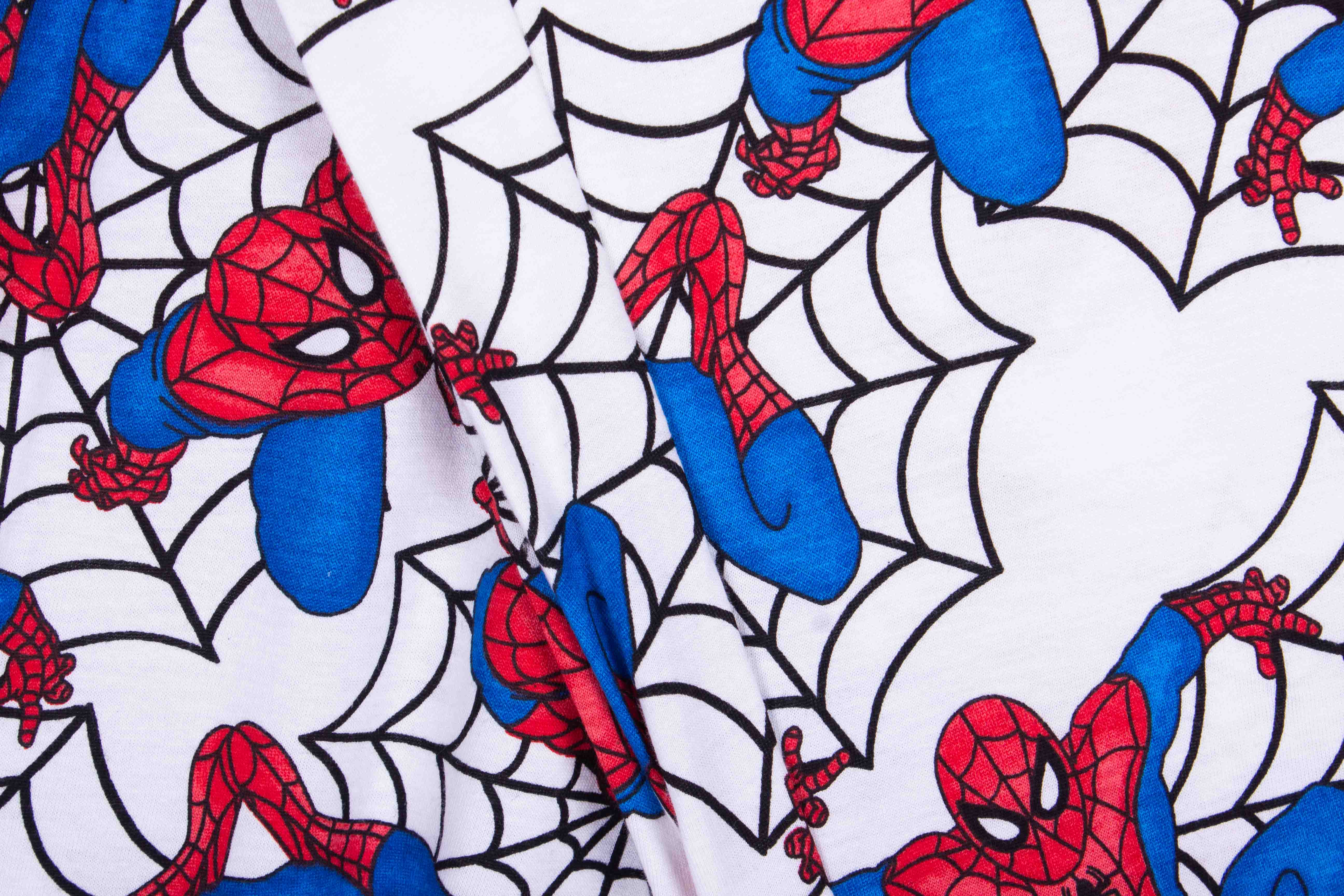 Spider-Man Webs