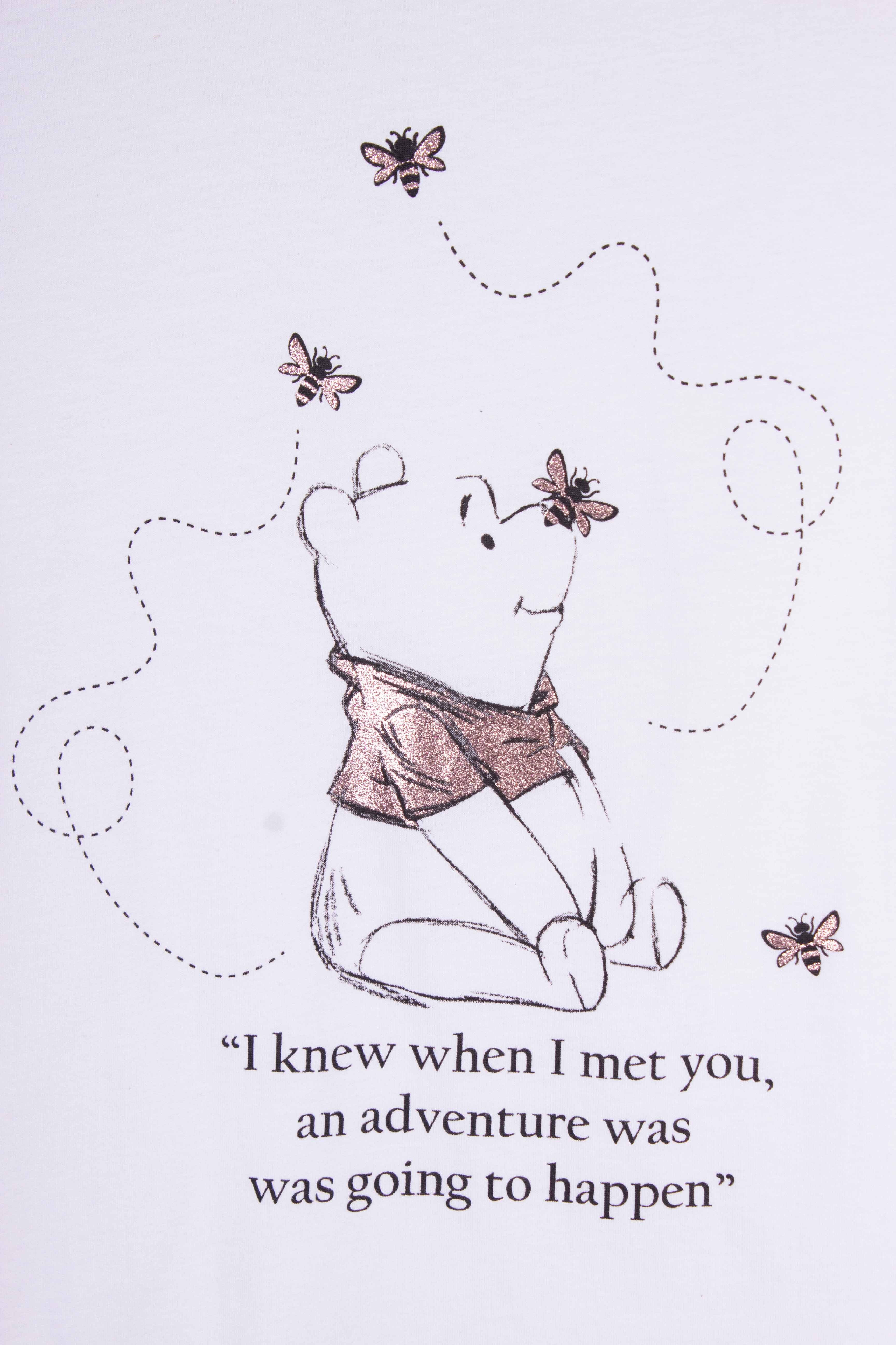 Glittery Winnie Bees