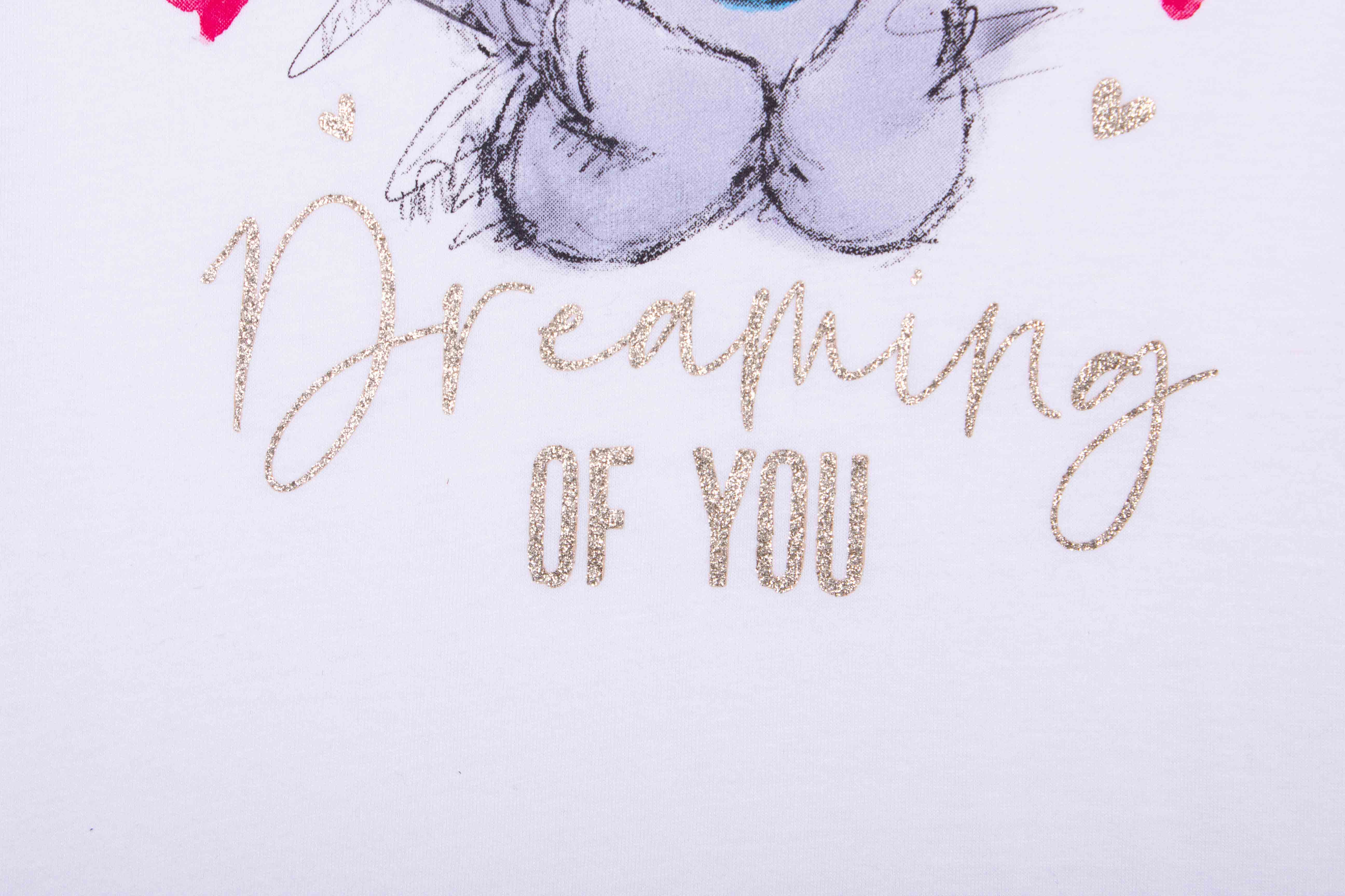 Dreaming Teddy