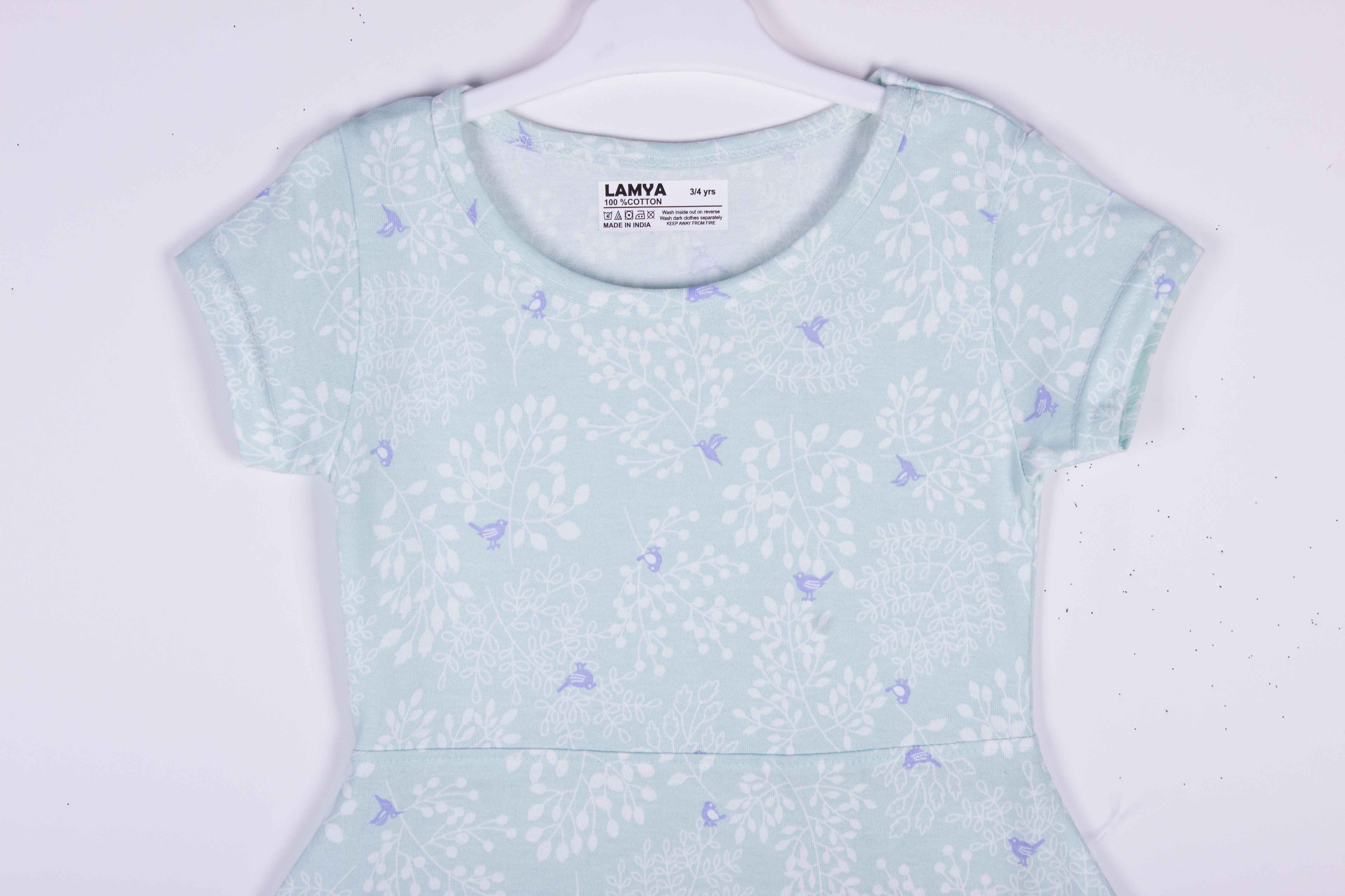 Sky Blue Floral Dress