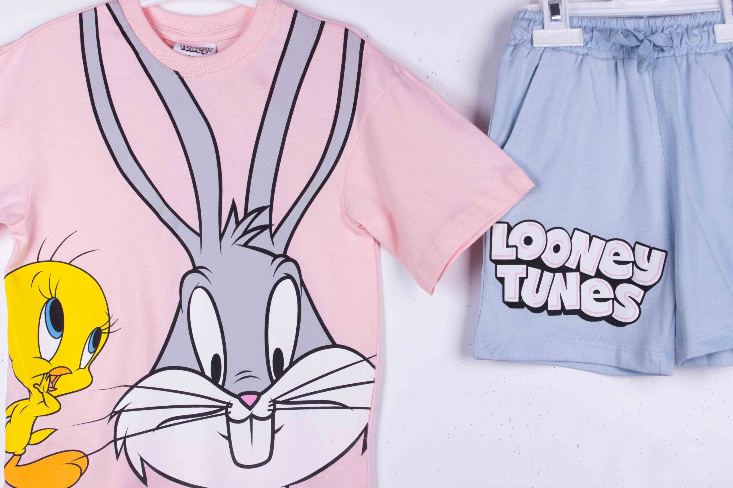 Bunny and Tweety