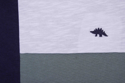 Dino Pattern