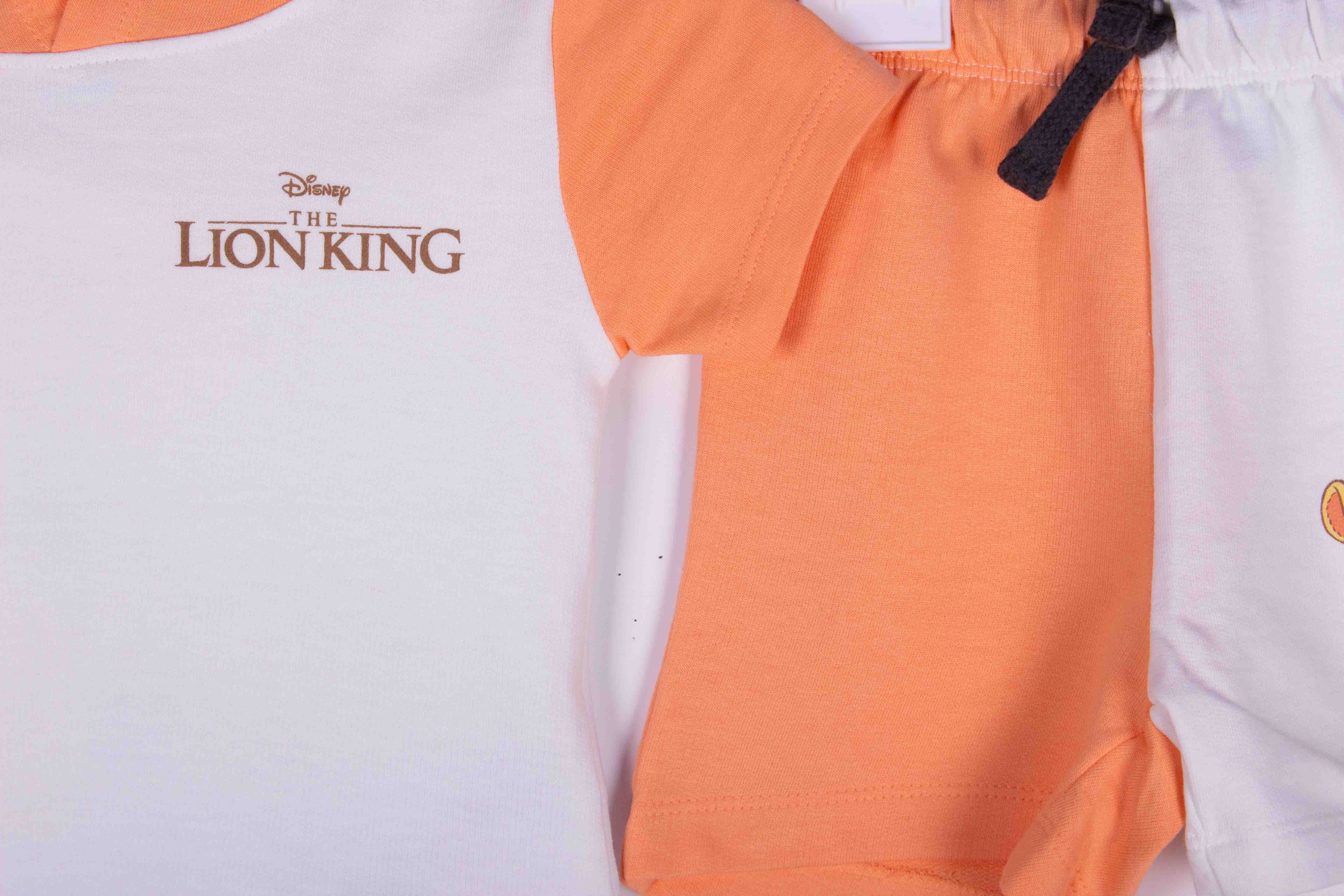 Lion King Summer Hoodie