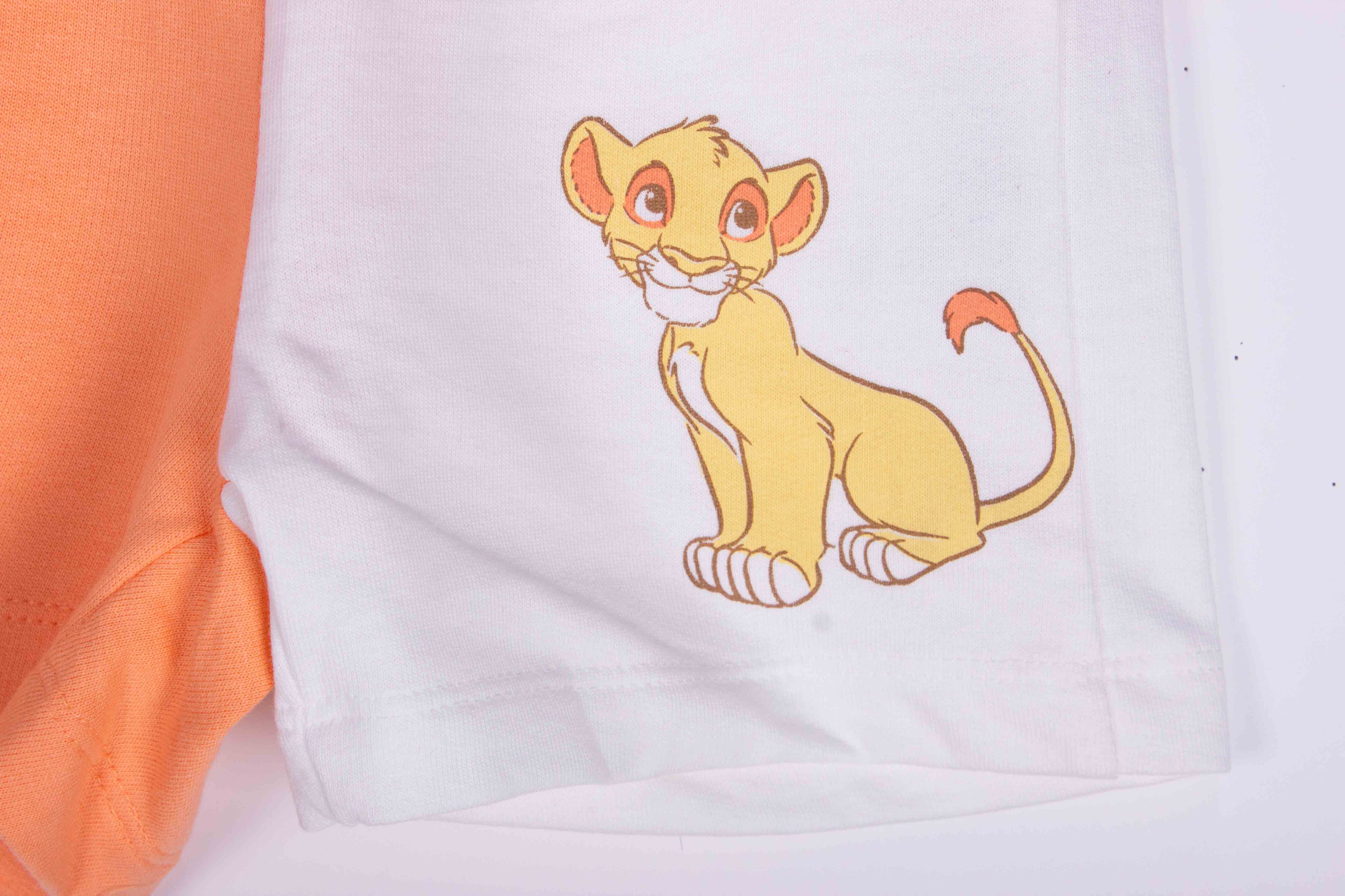 Lion King Summer Hoodie