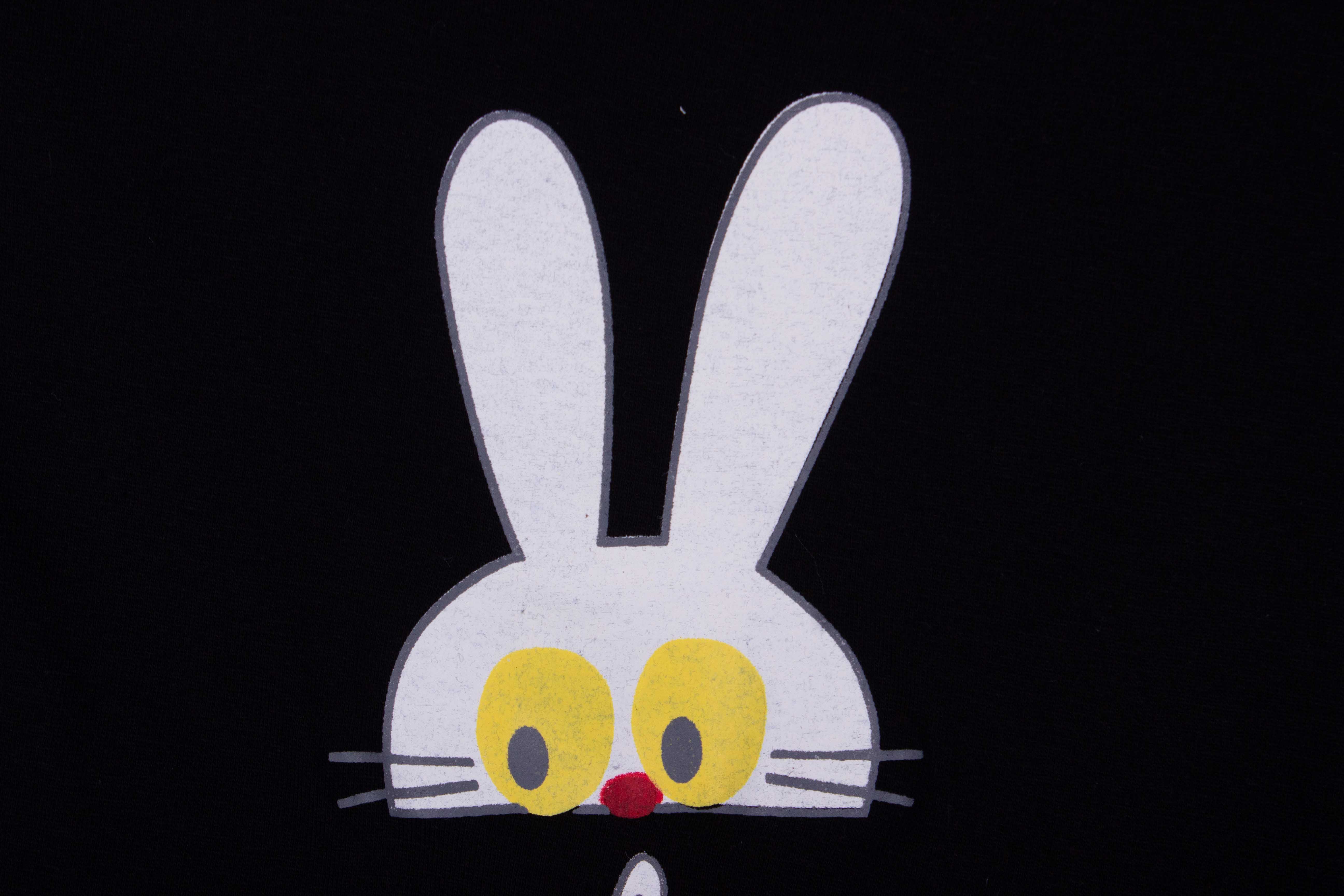 Bunny In Bed