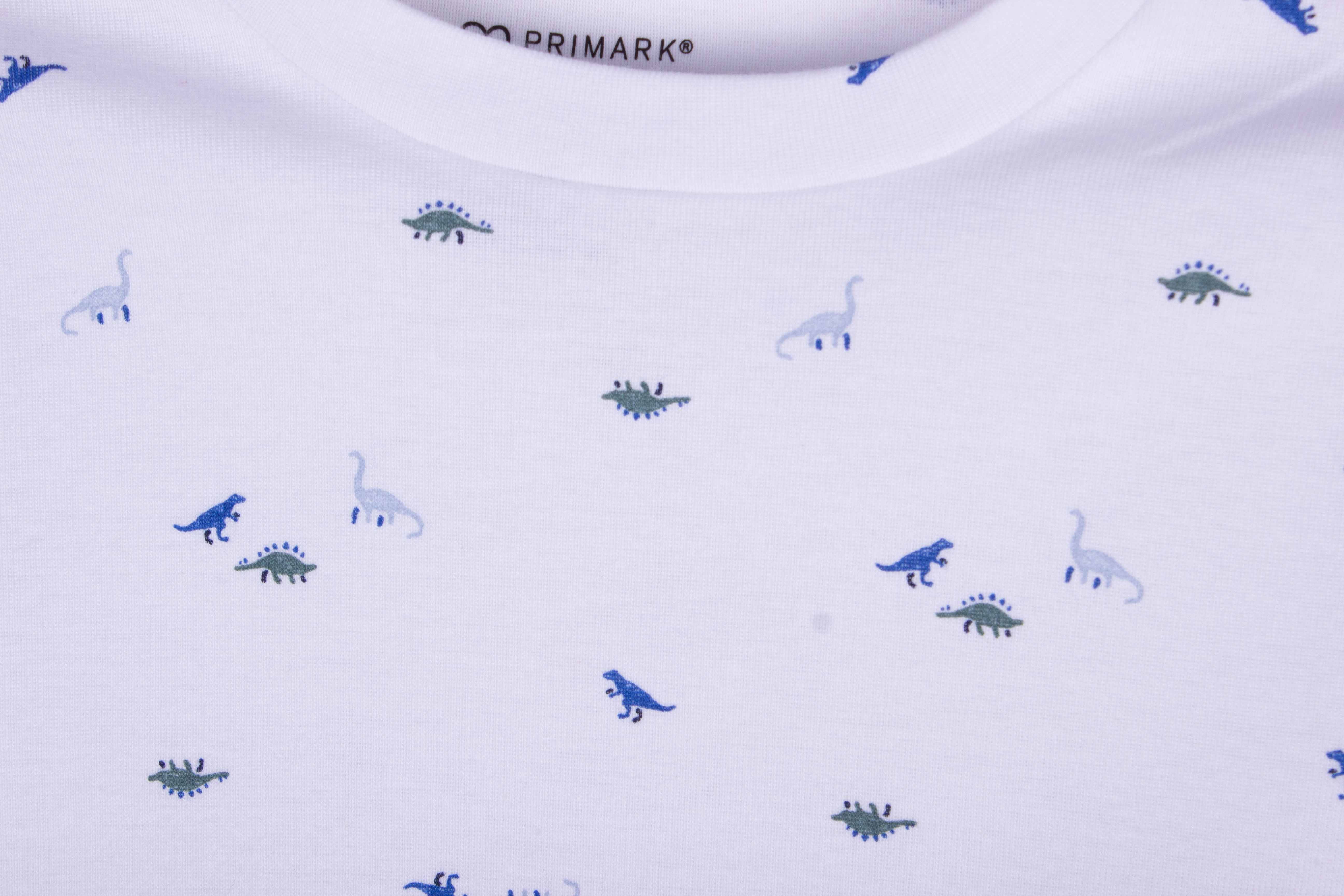 Tiny Dino Shorts