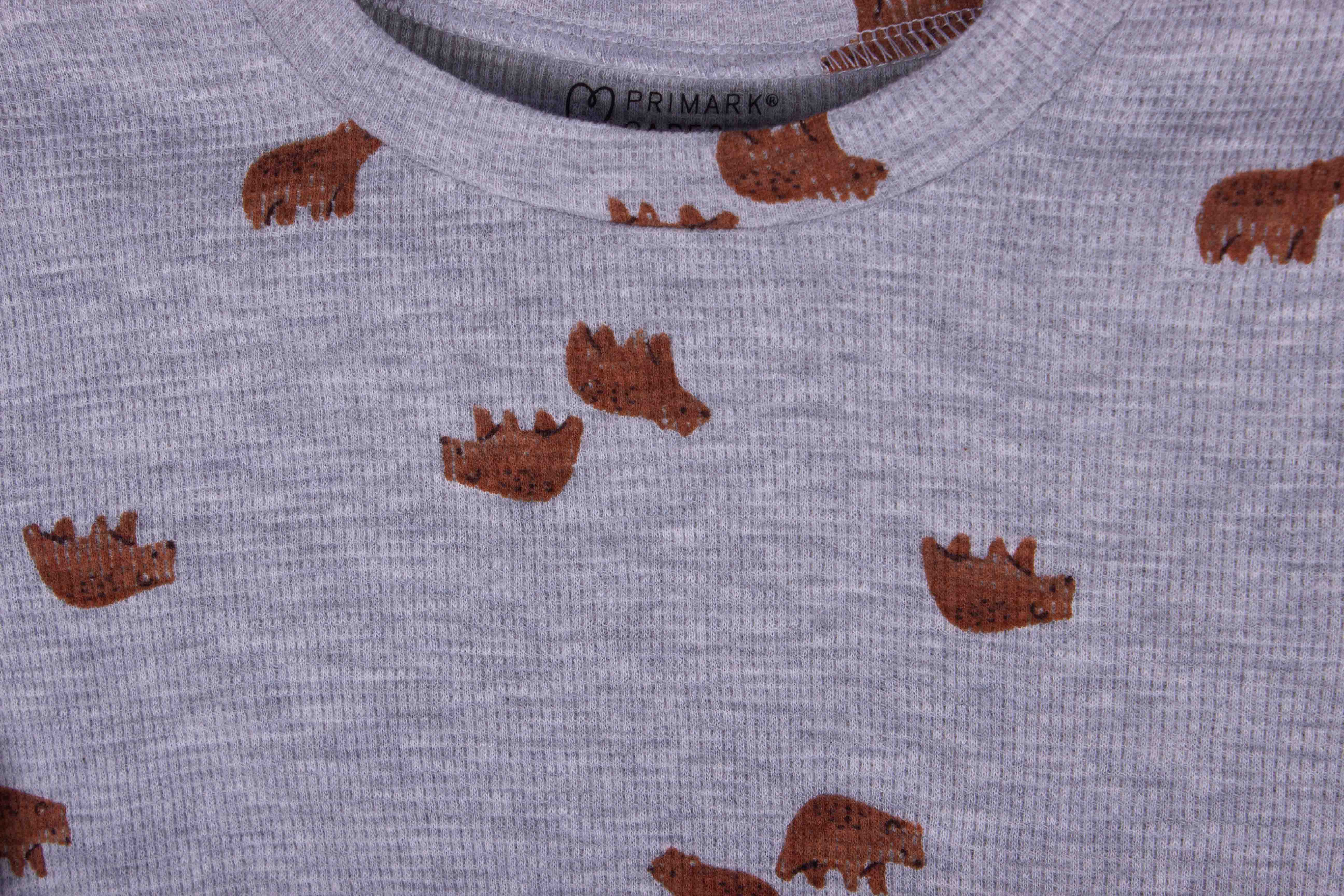 Brown Bear Shorts