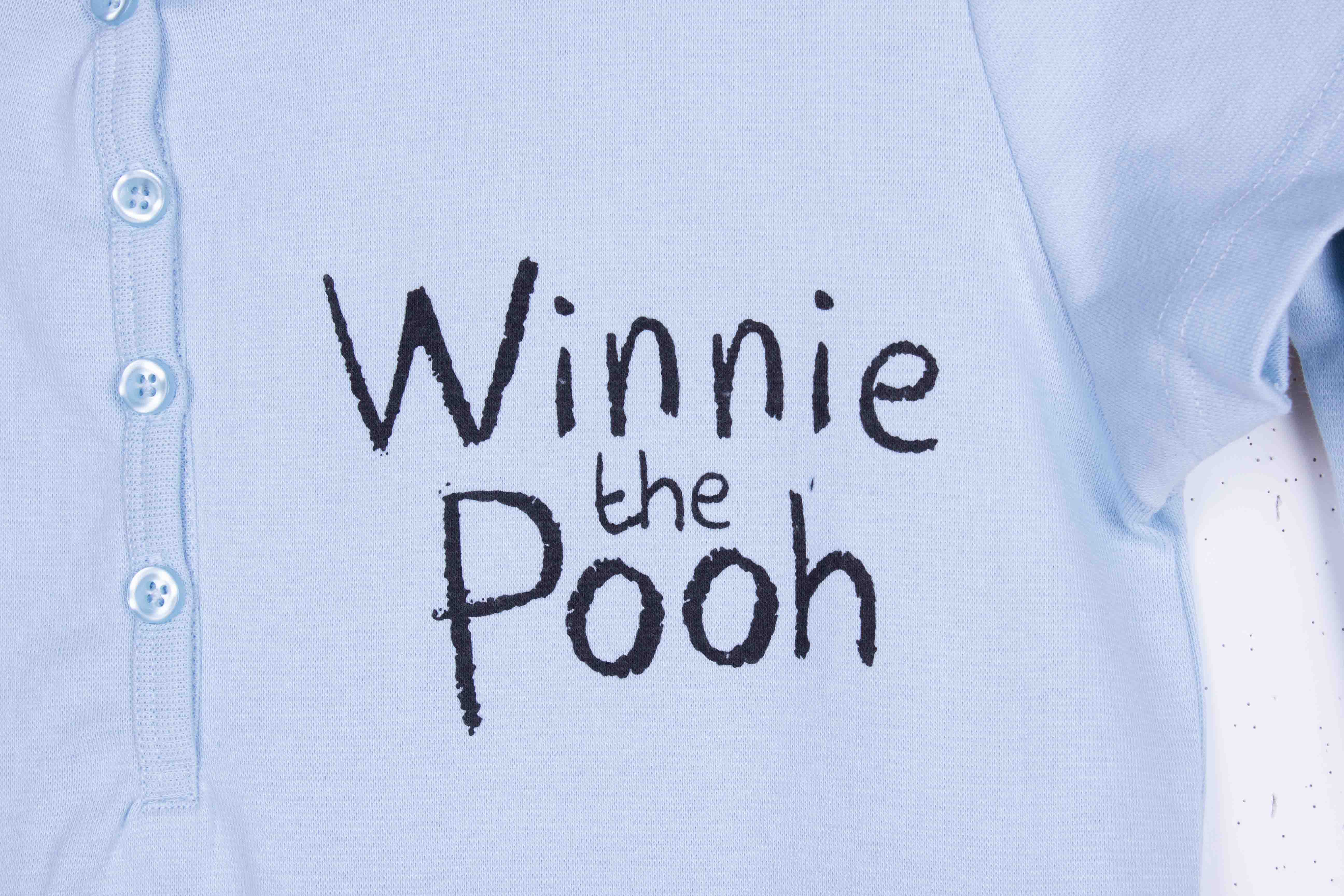 Winnie the Great Bear