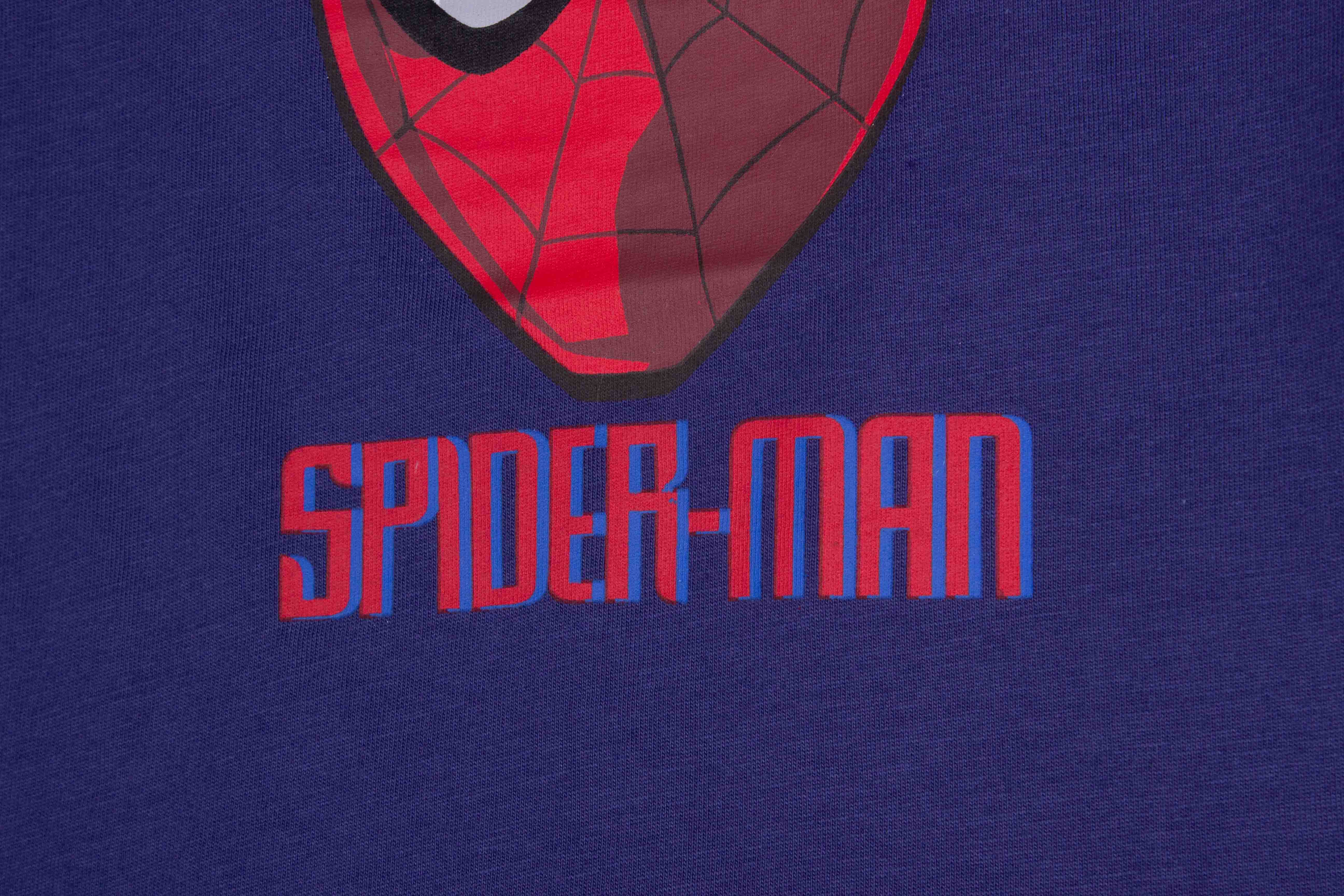 Shadowy Spiderman
