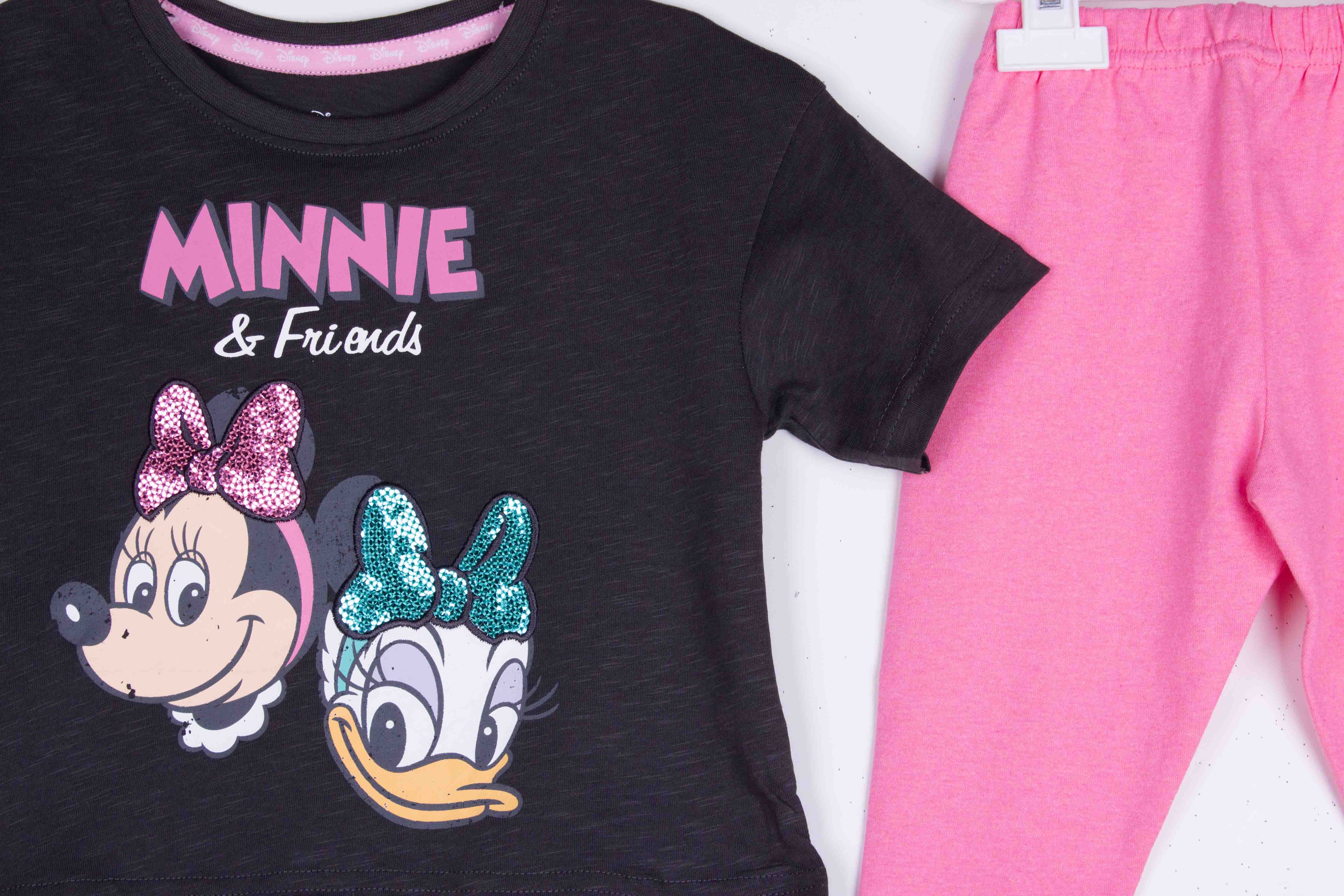 Glittery Minnie Friends