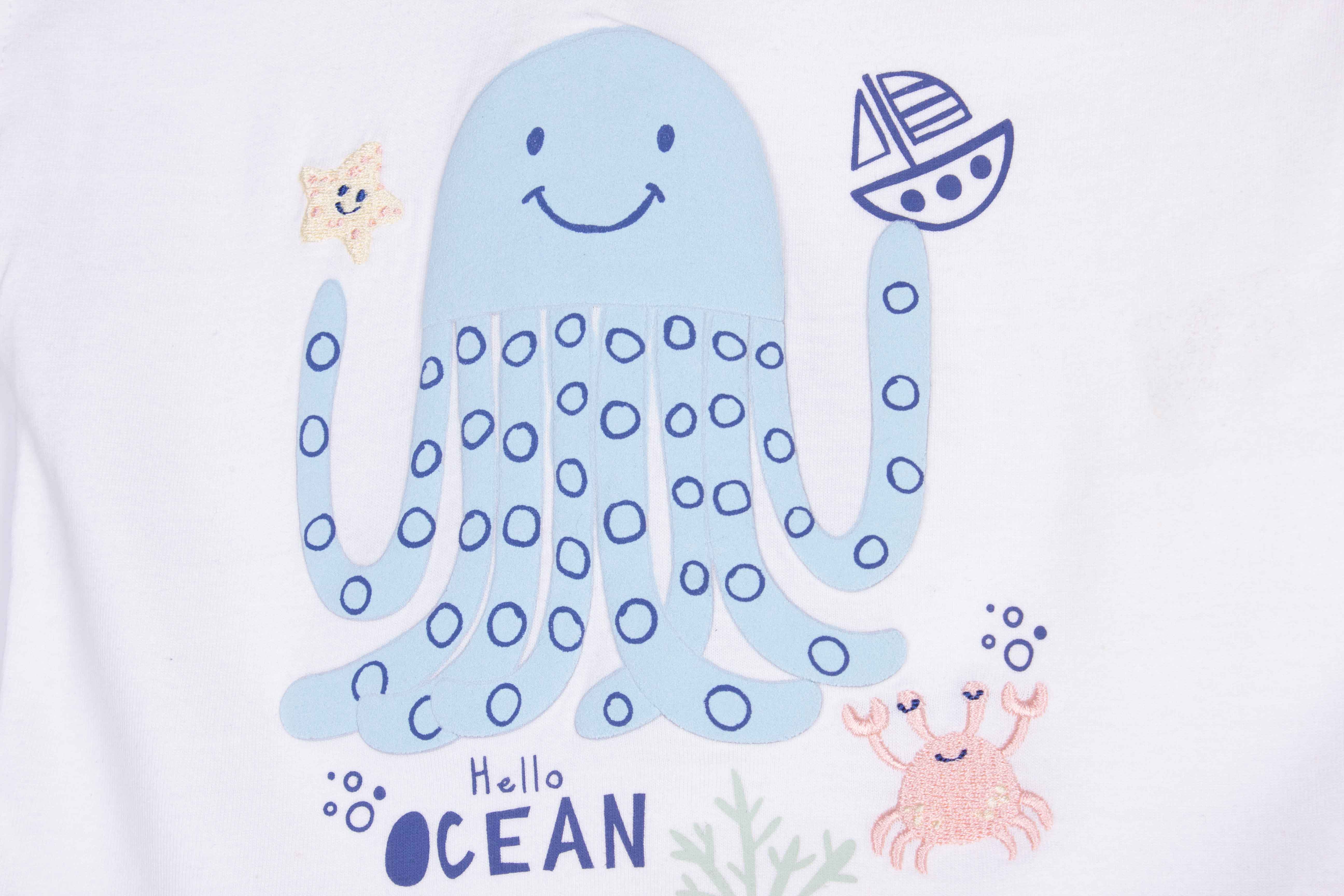 Hello Ocean