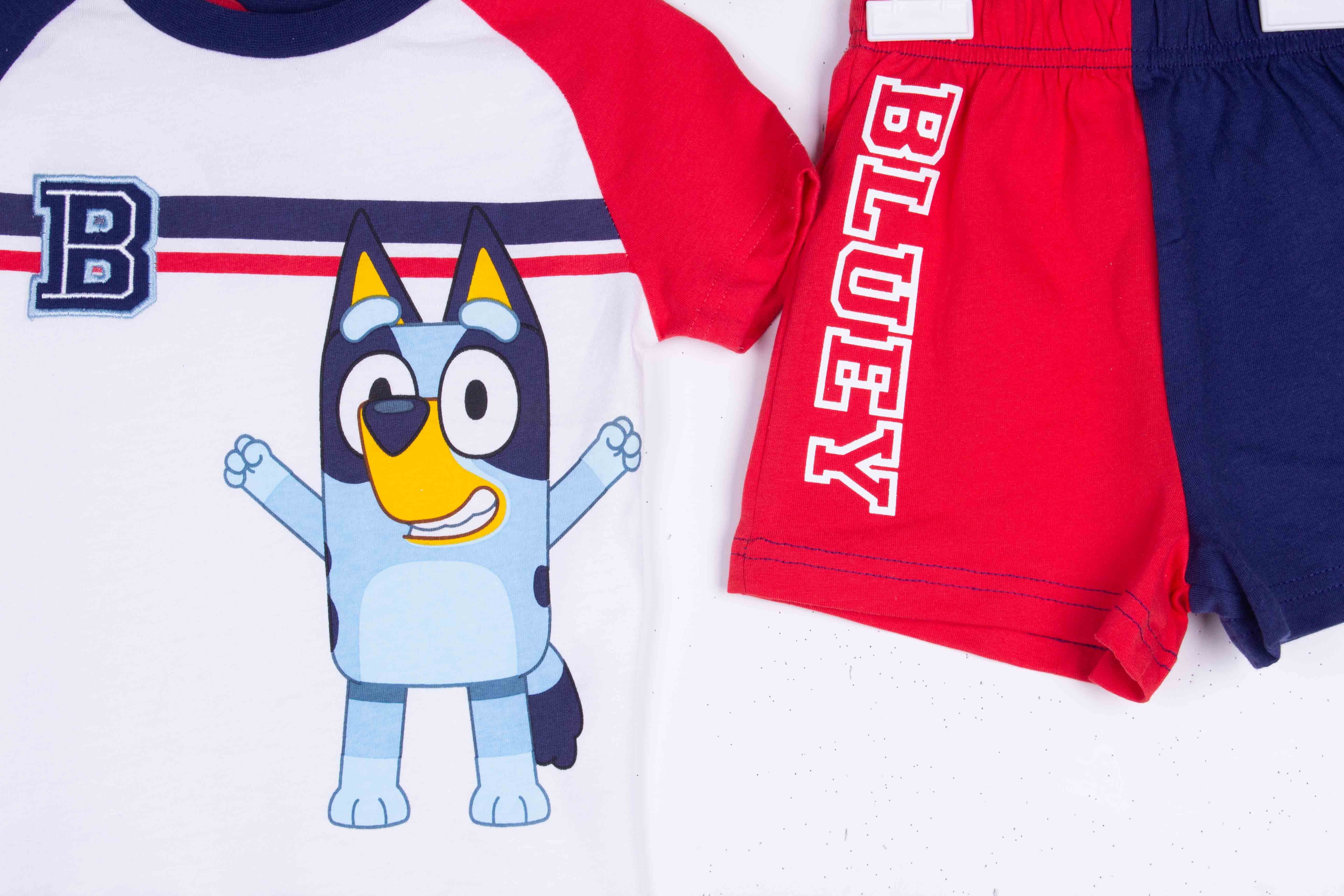 Bluey Jersey