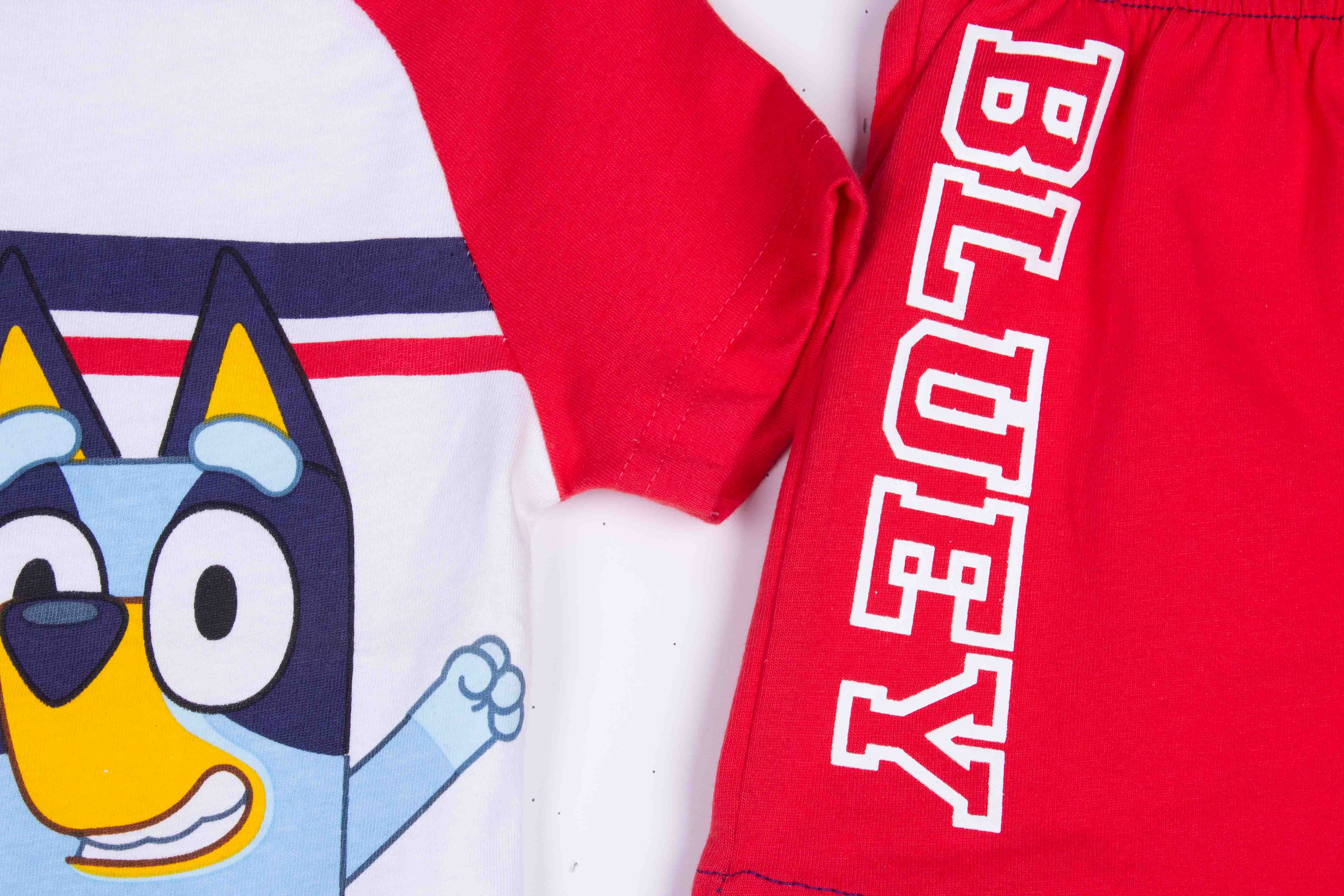 Bluey Jersey