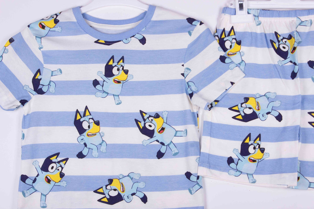 Bluey Stripes