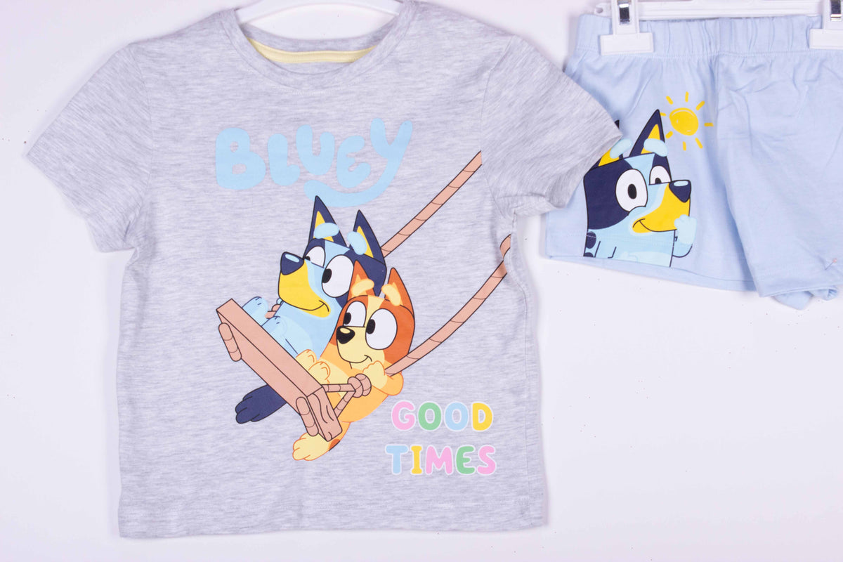 Bluey Swinging