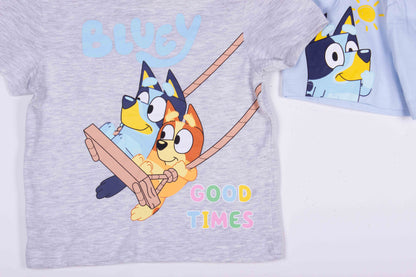 Bluey Swinging