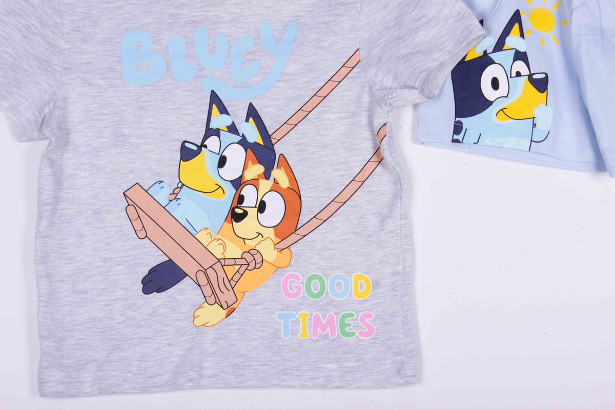 Bluey Swinging