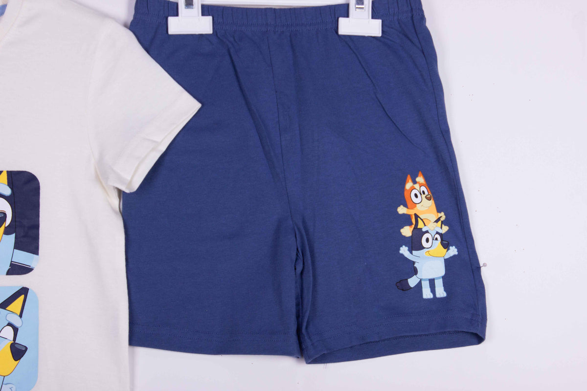 Bluey Cute Squares