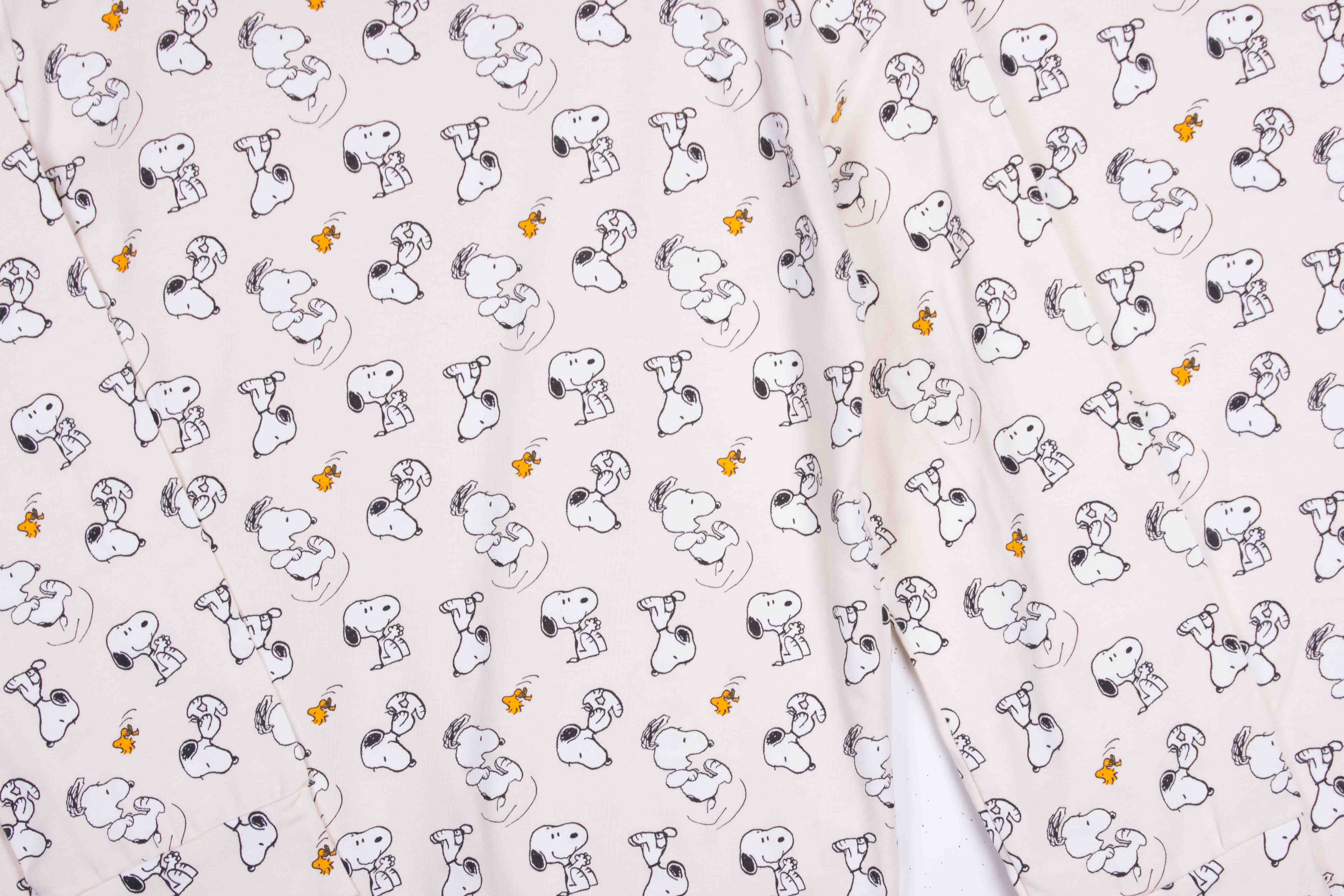 Hey Snoopy