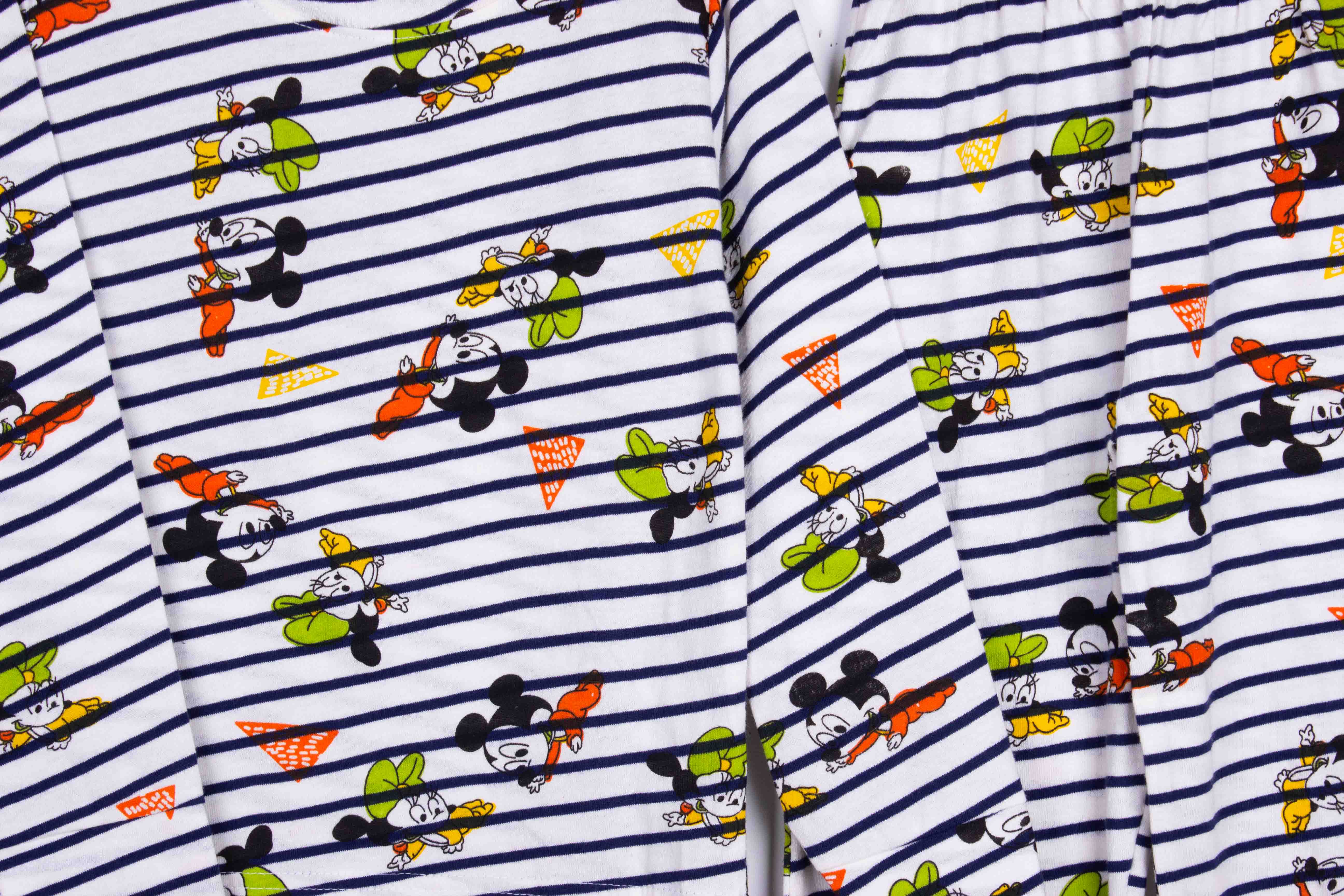 Mickey and Friends Stripes