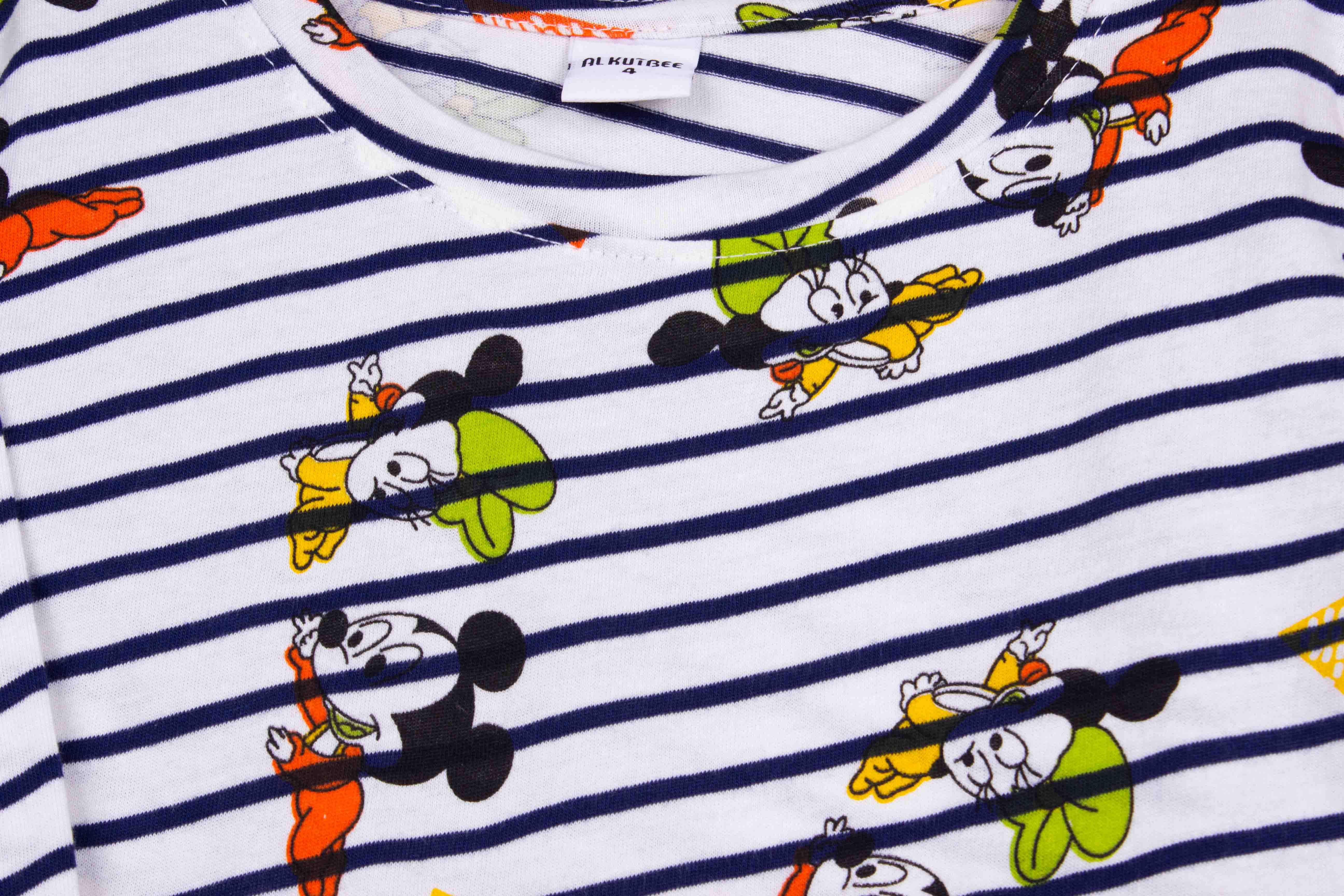 Mickey and Friends Stripes