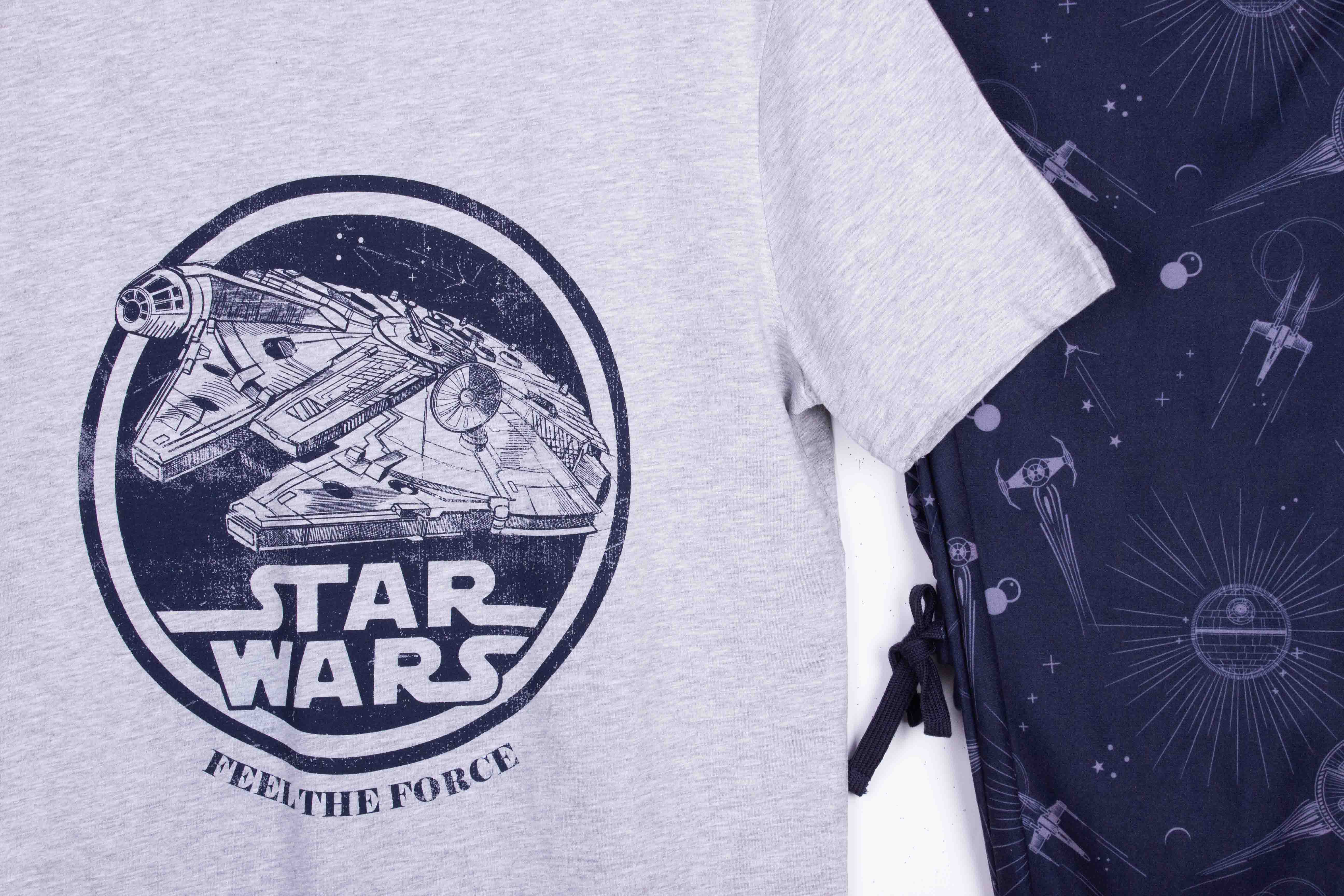 Star Wars Feel the Force