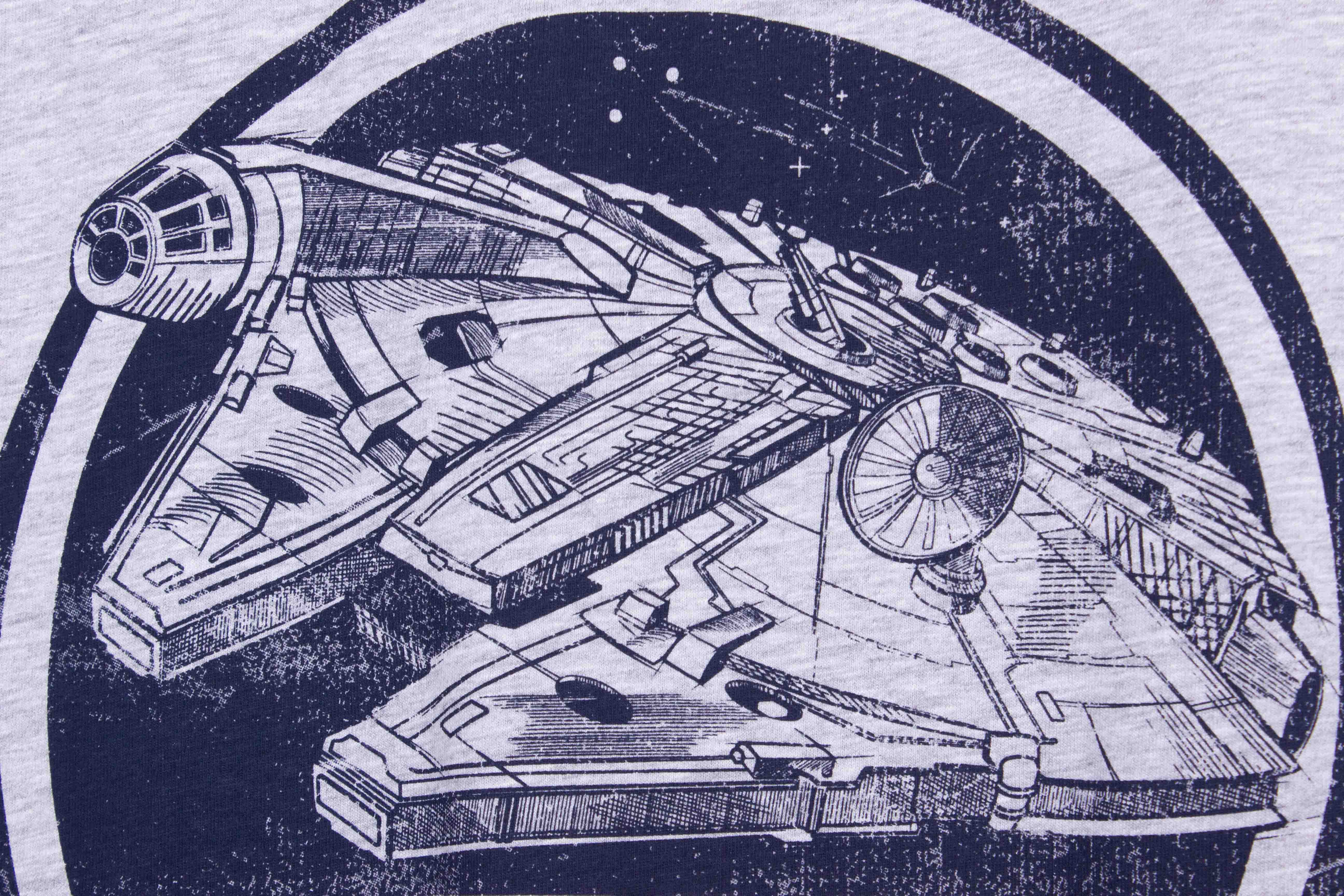 Star Wars Feel the Force