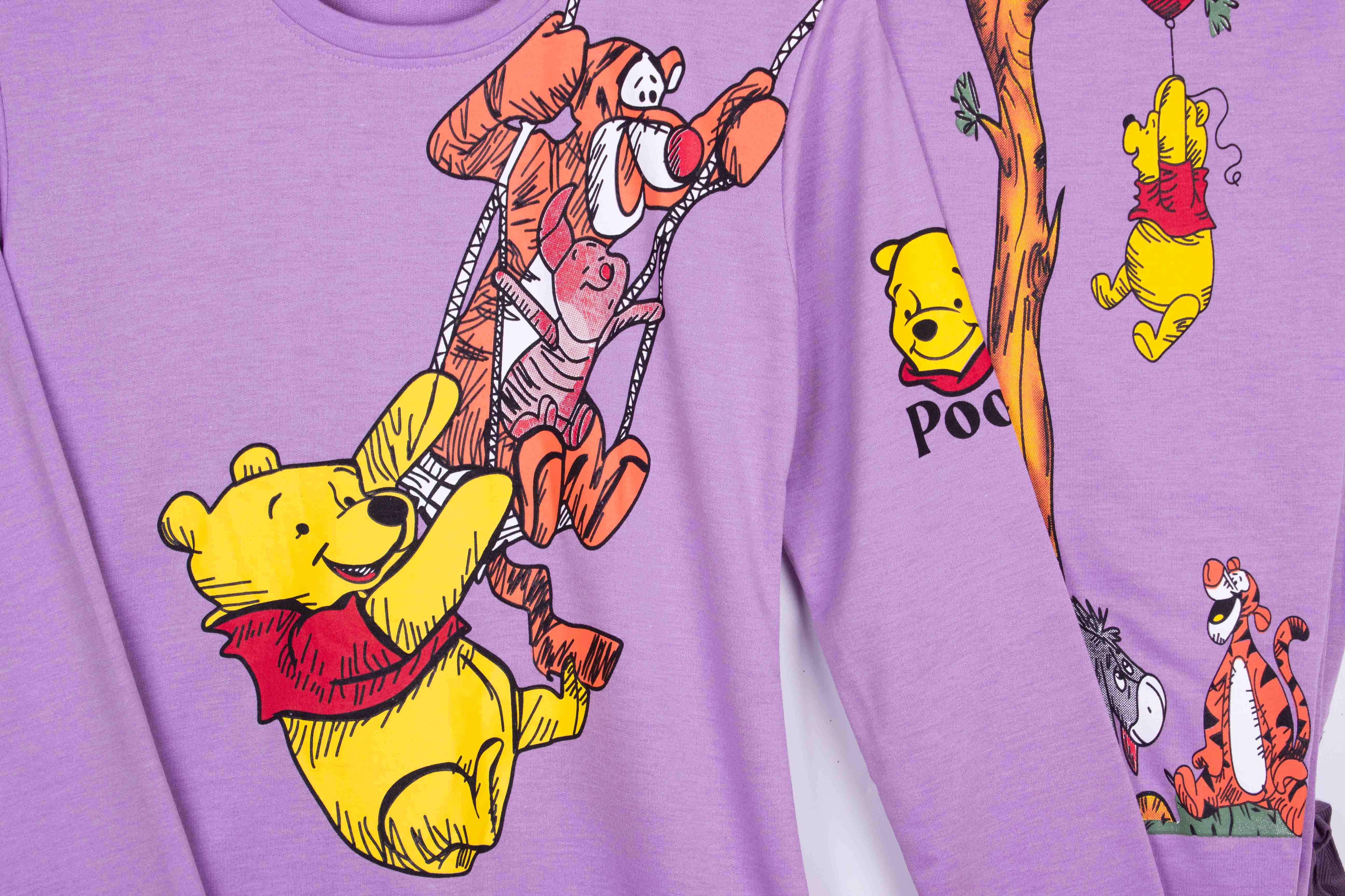 Winnie Tigger Swinging