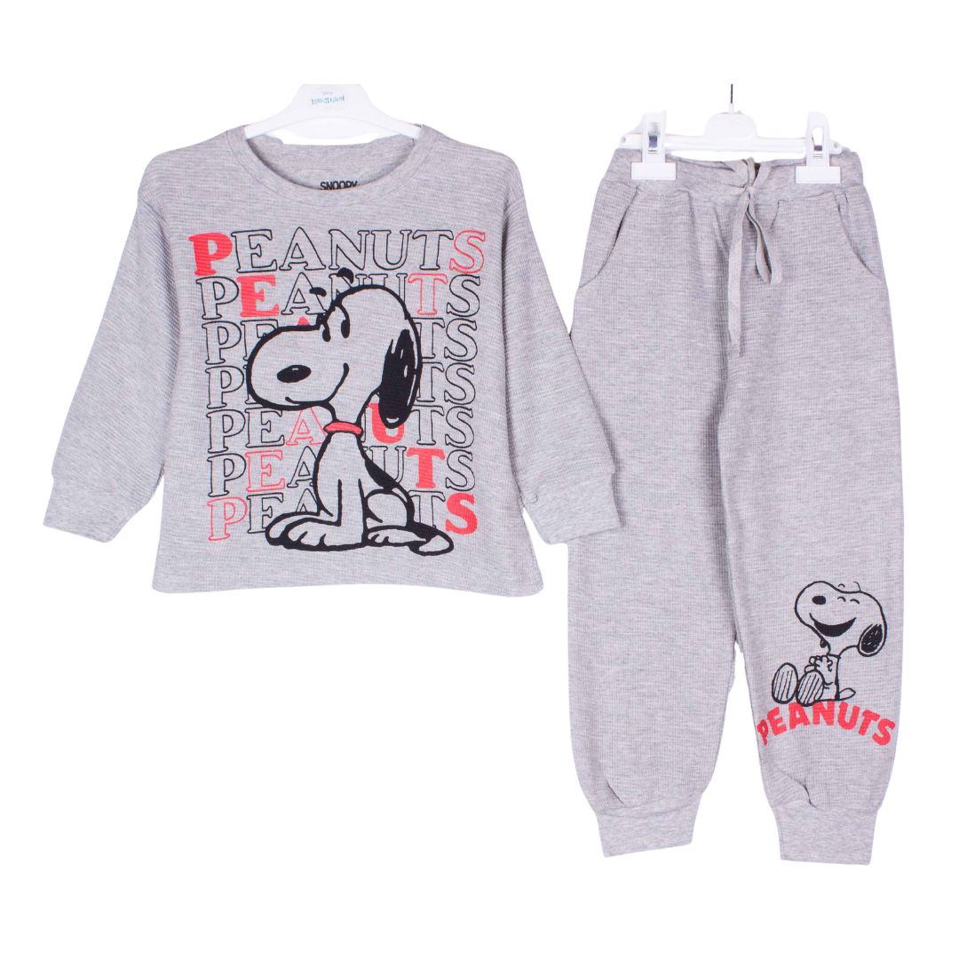 Grey Peanuts Snoopy