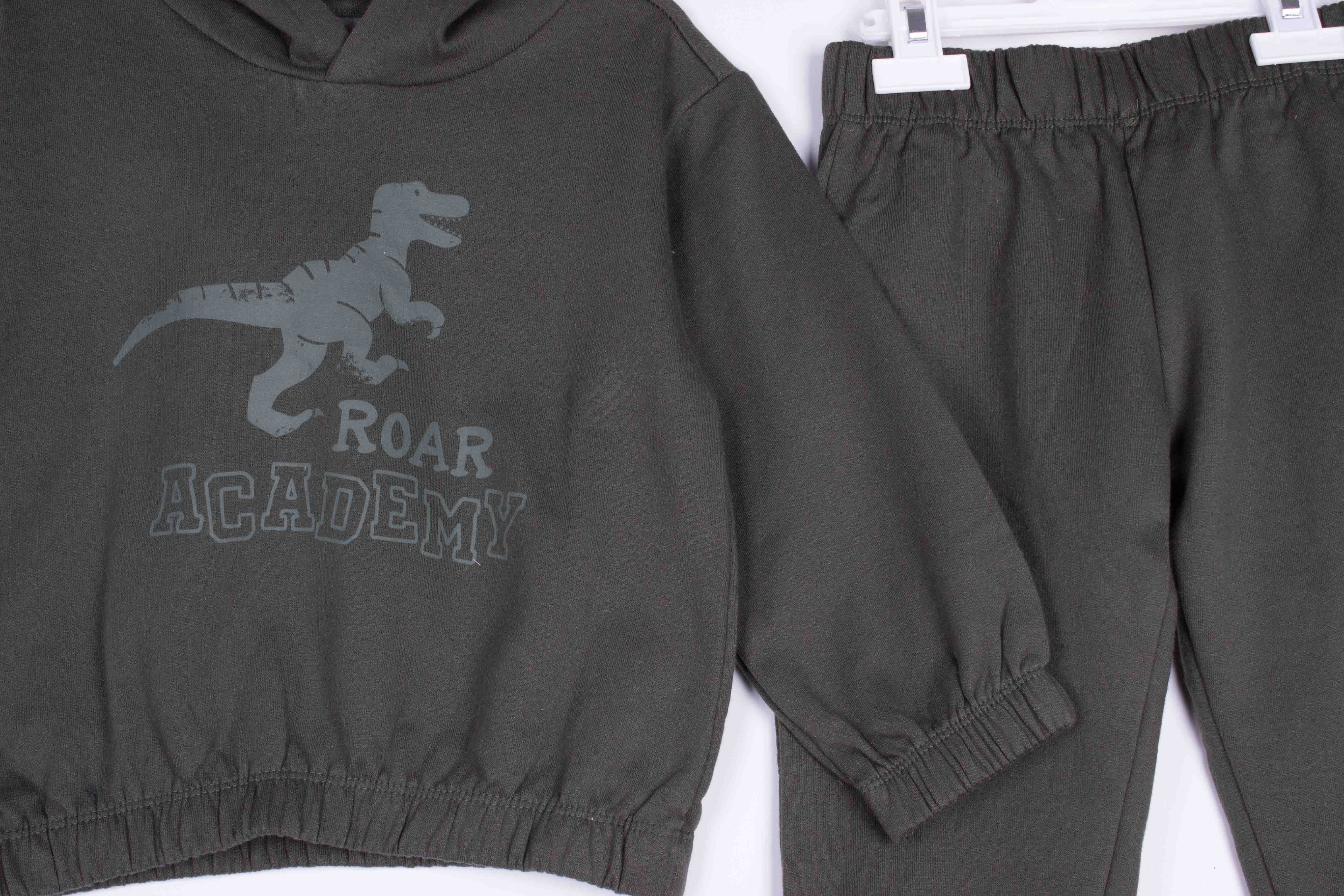 Roar Academy Hoodie