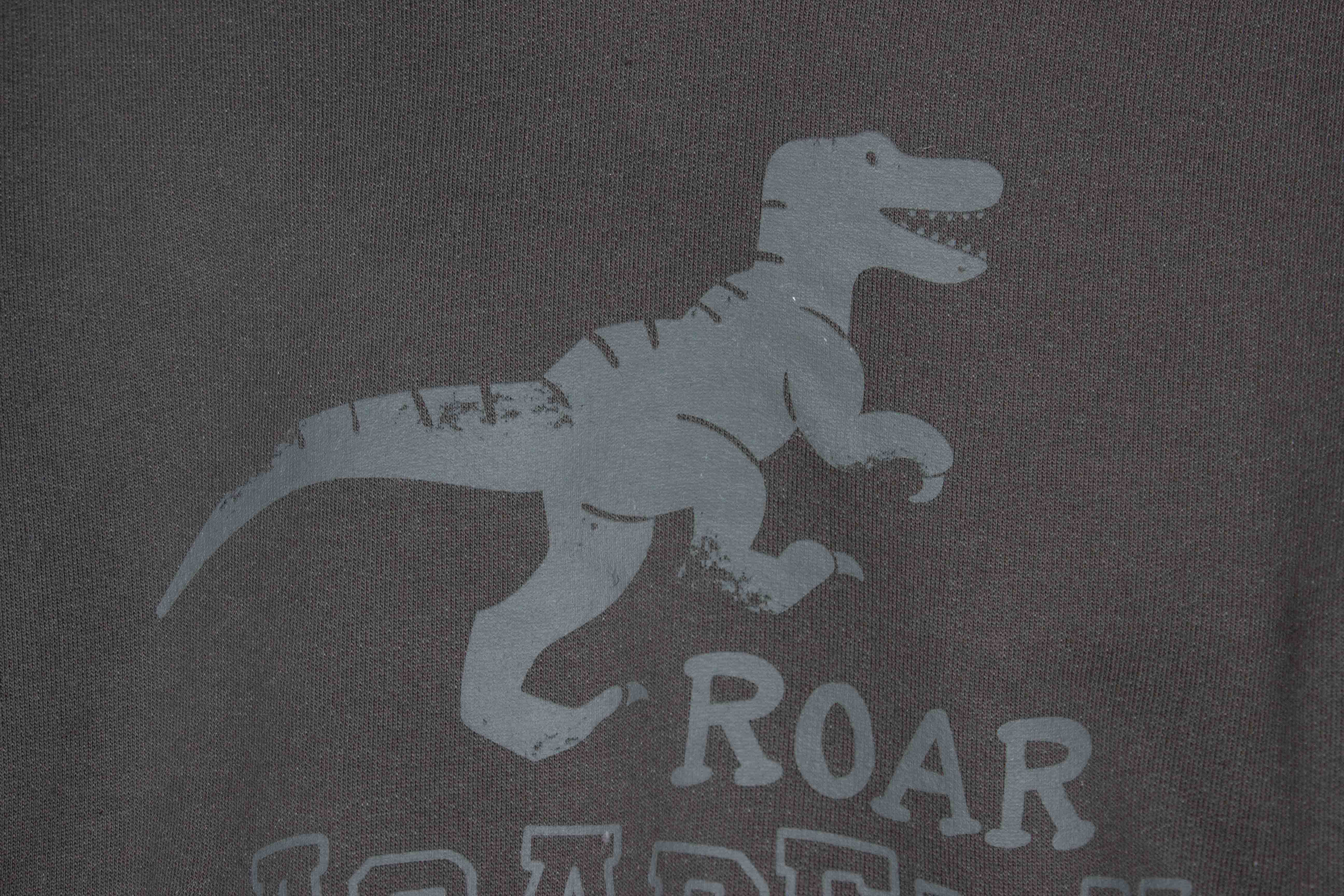 Roar Academy Hoodie