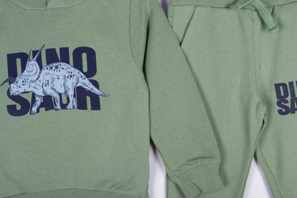 Dinosaur Cute Hoodie