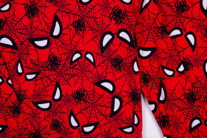 Mysterious Spiderman